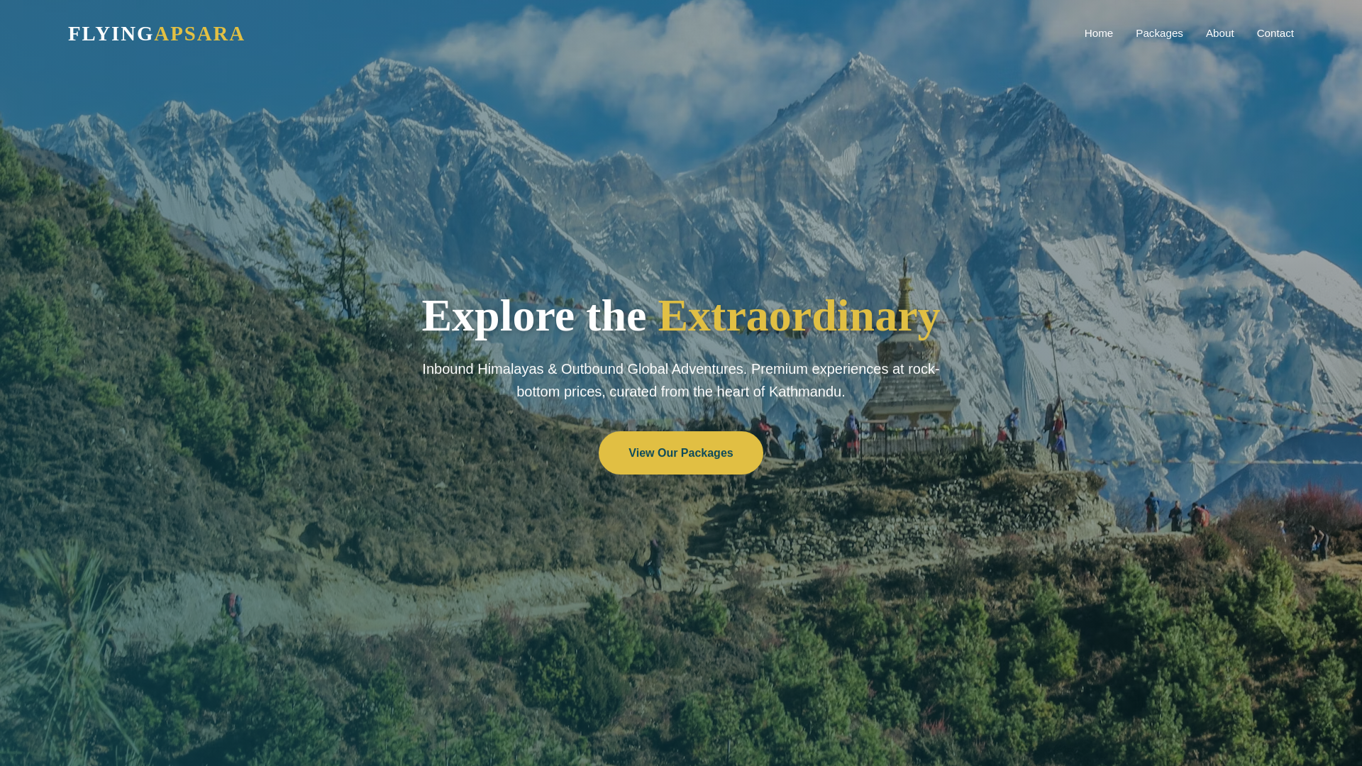 website screenshot of https://flyingapsaratours.com/