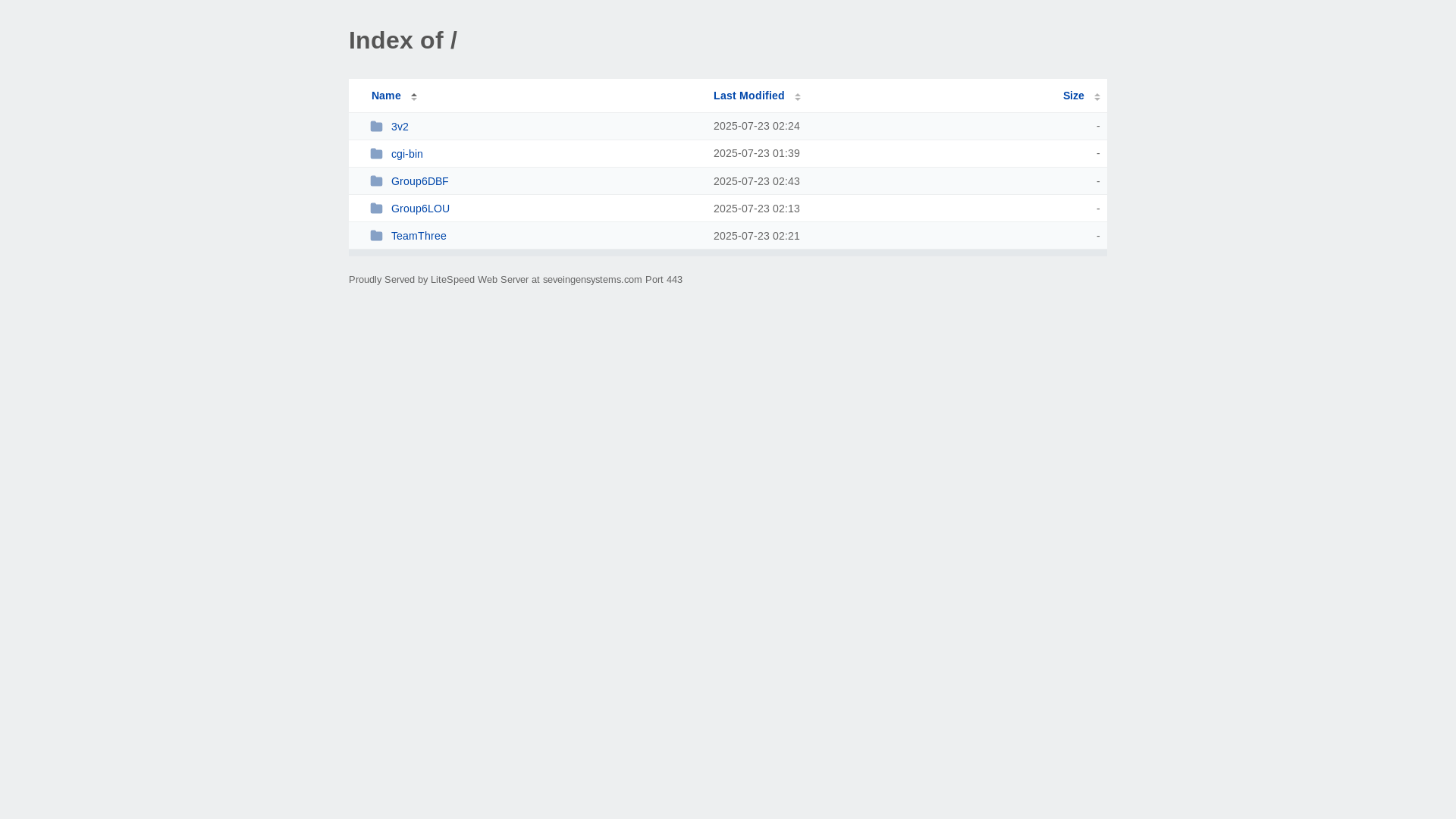 website screenshot of https://seveingensystems.com/