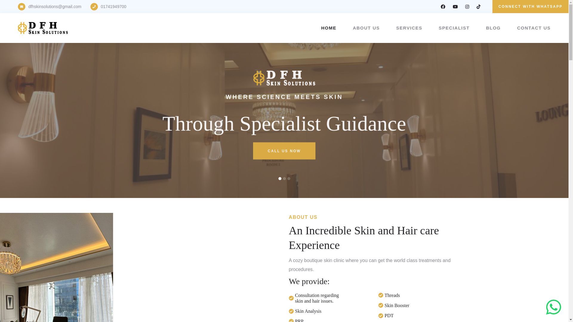 website screenshot of https://dfhskin.com/