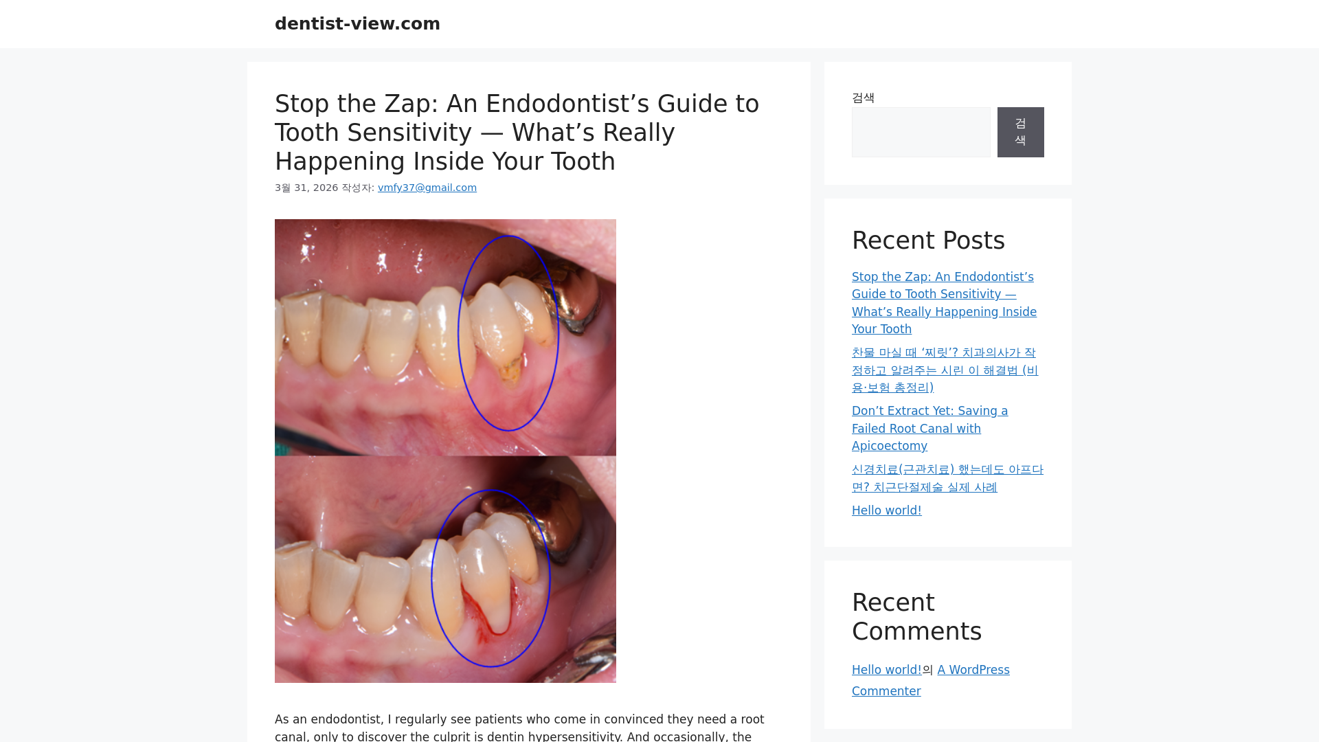 website screenshot of https://dentist-view.com/