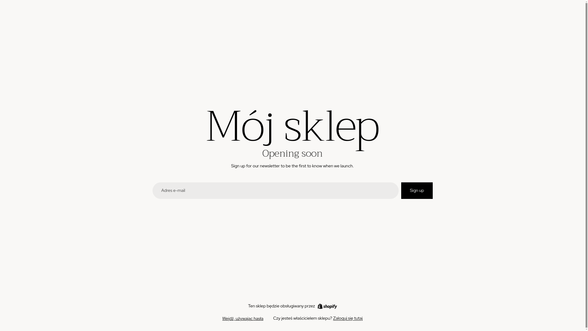 website screenshot of https://pannazkamieniami.eu/