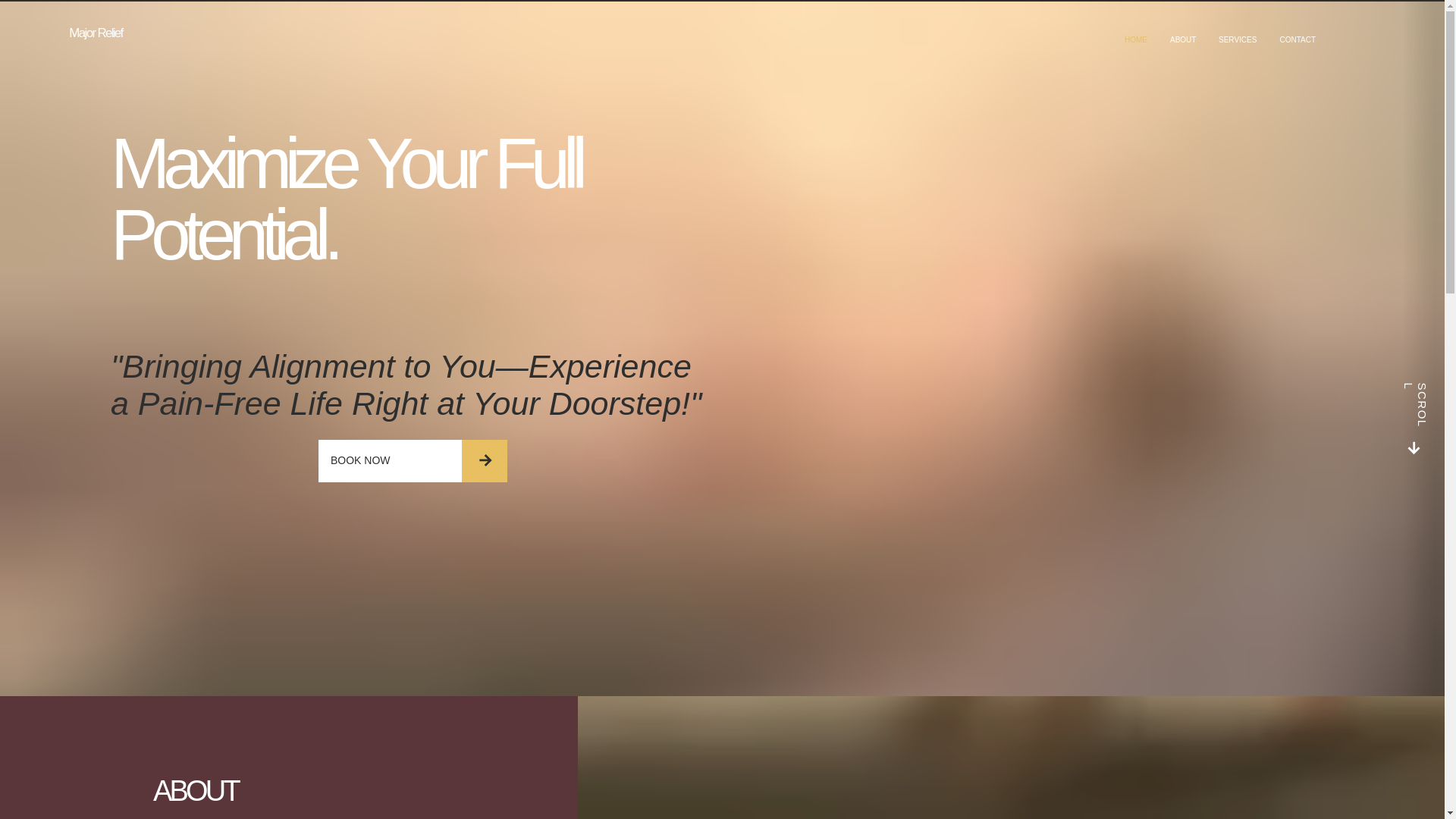 website screenshot of https://majorreliefchiro.com/