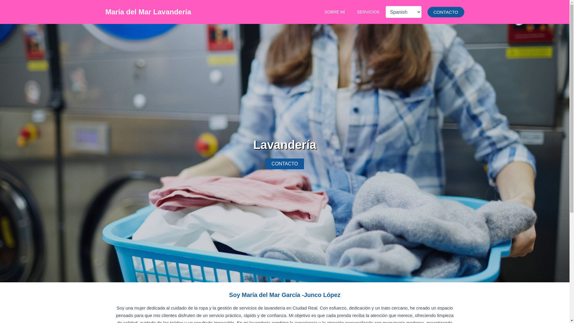 website screenshot of https://mariadelmarlavanderia.site/