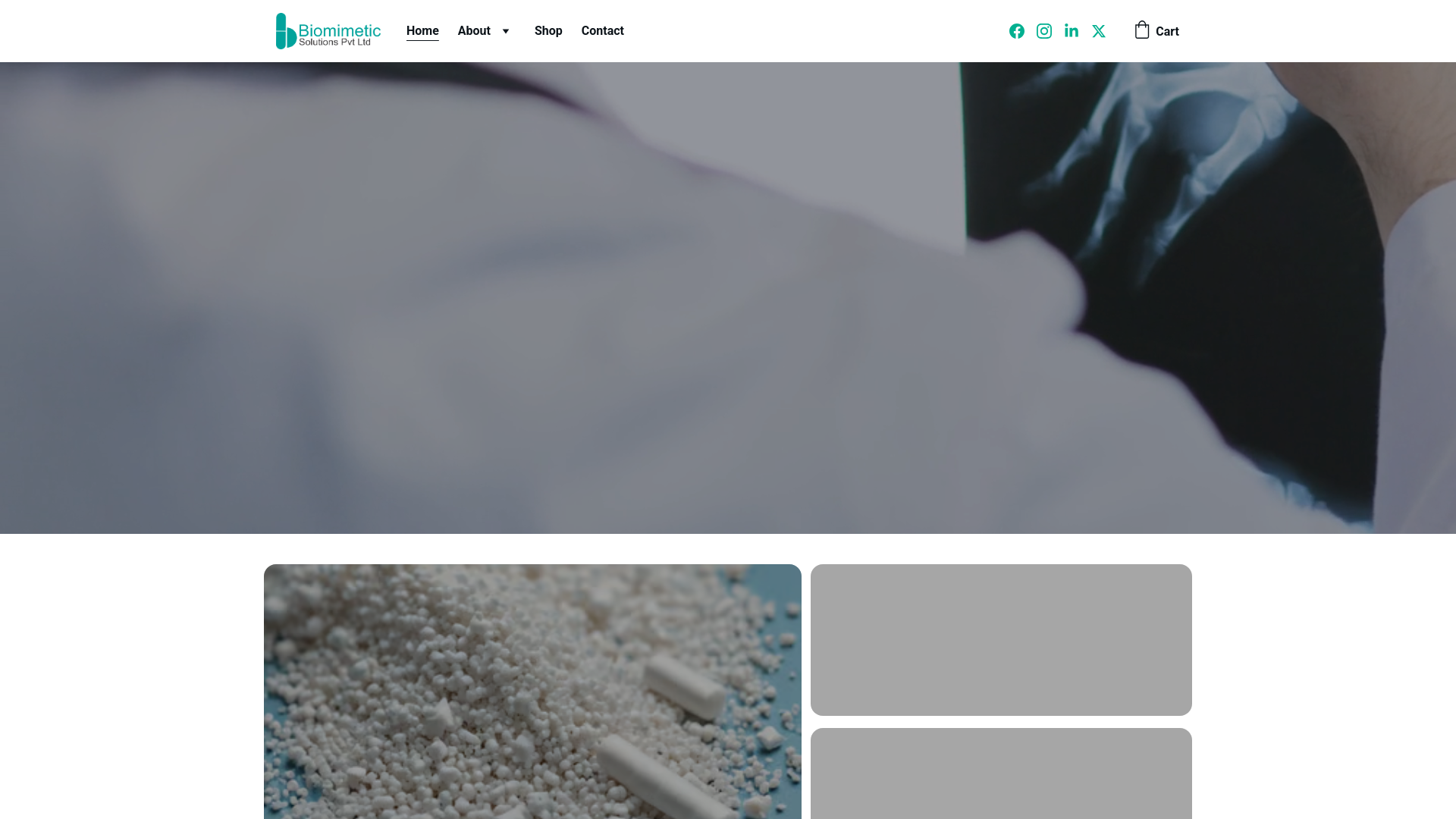 website screenshot of https://biomimeticsolutions.org