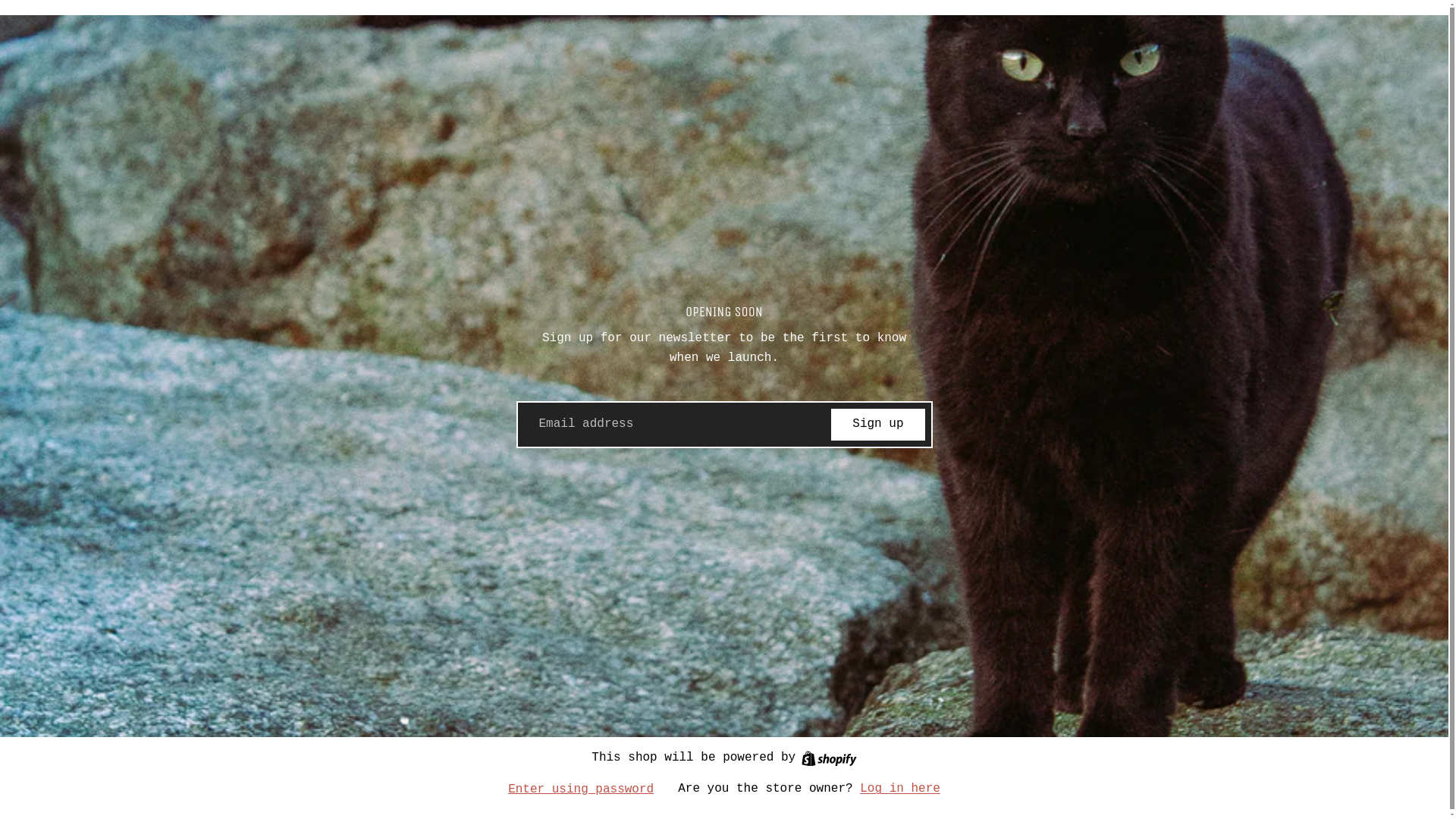 website screenshot of https://layomiraartstudio.com/