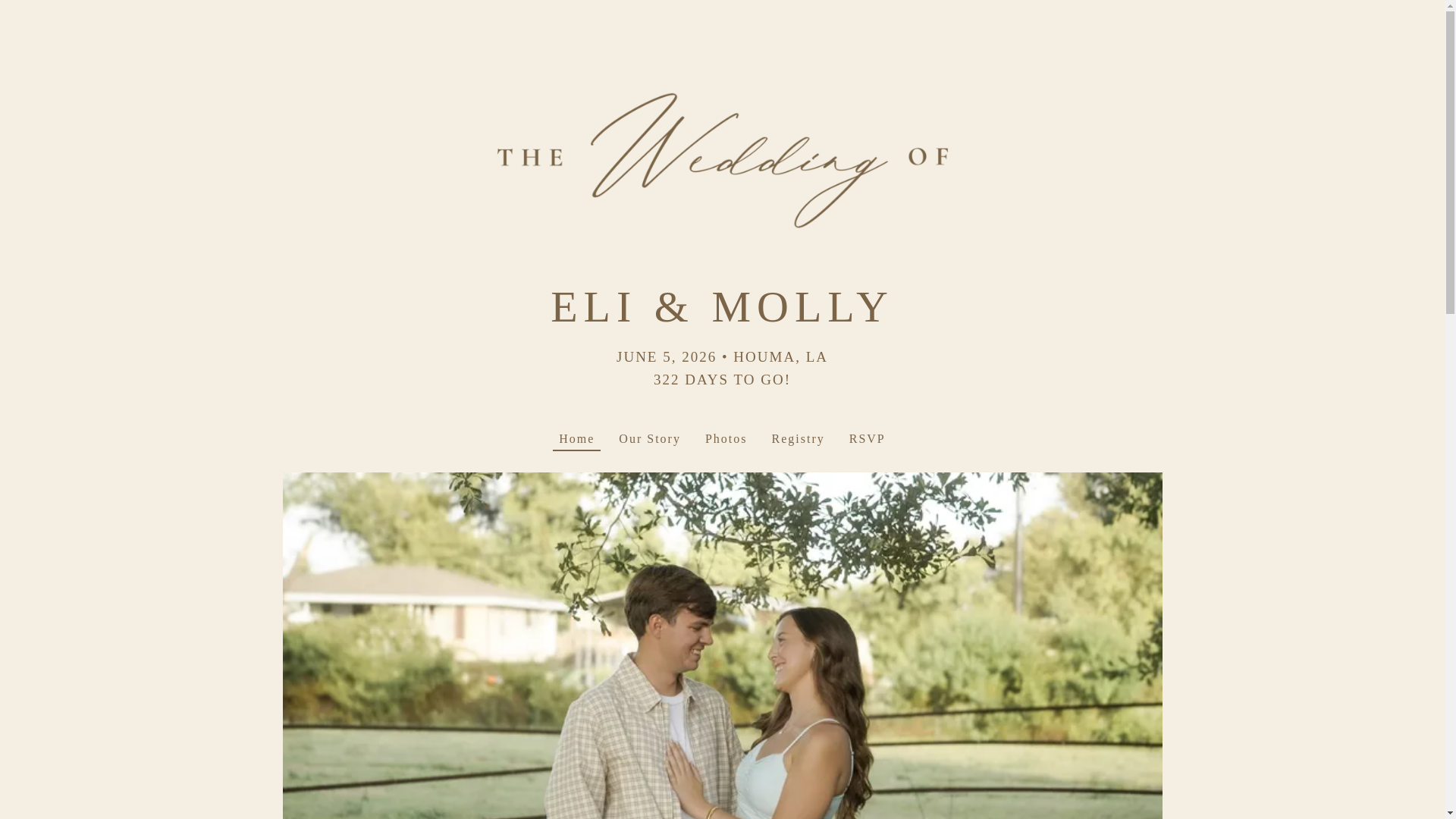 website screenshot of https://eliandmollyjune2026.com/