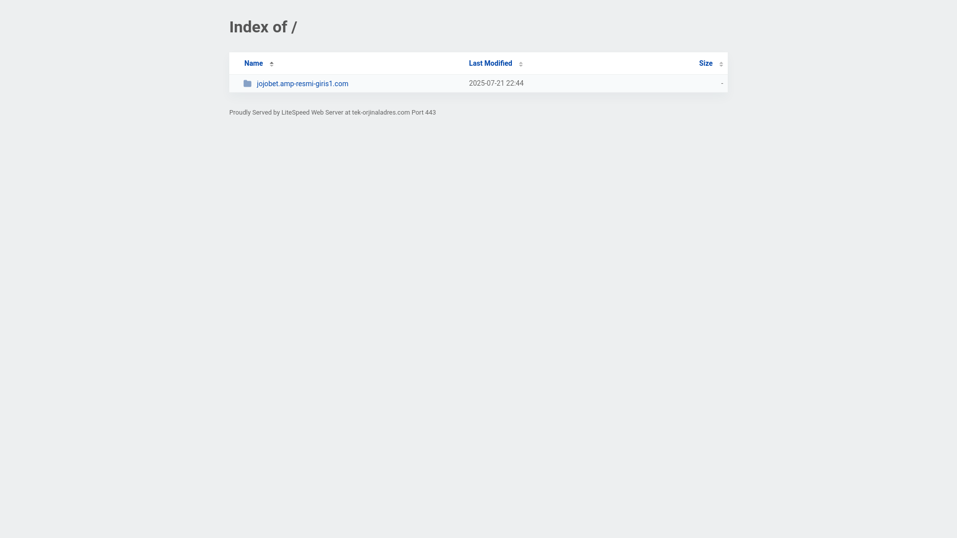 website screenshot of https://tek-orjinaladres.com/