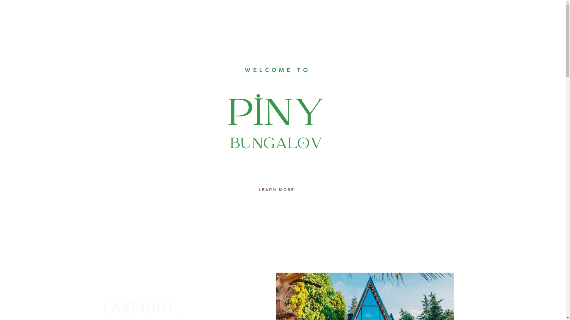 website screenshot of https://pinybutikbungalov.com/