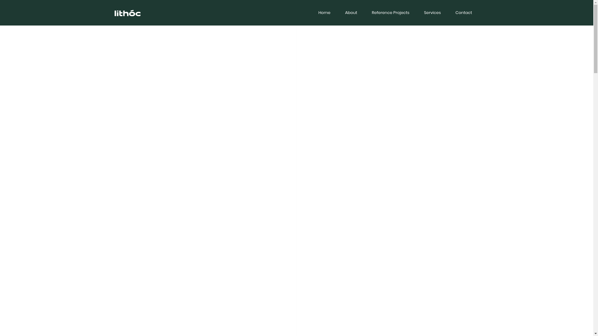 website screenshot of https://lithocteam.com/