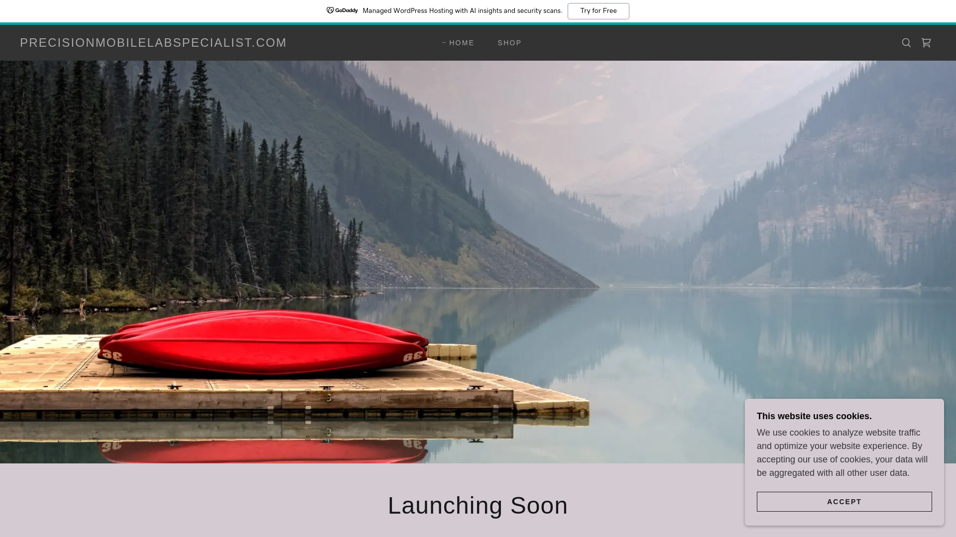 website screenshot of https://precisionmobilelabspecialist.com/