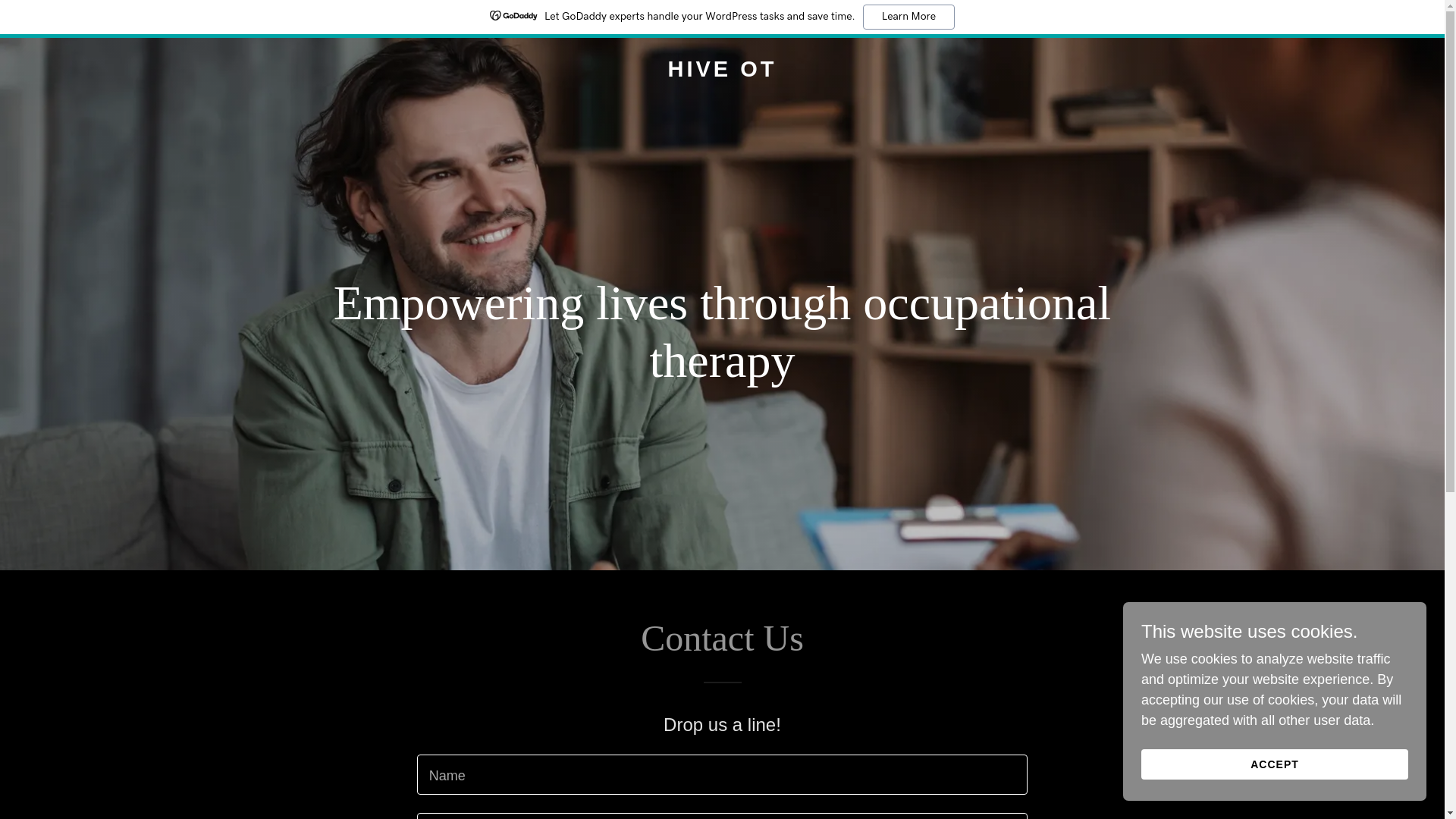 website screenshot of https://hiveot.com.au/
