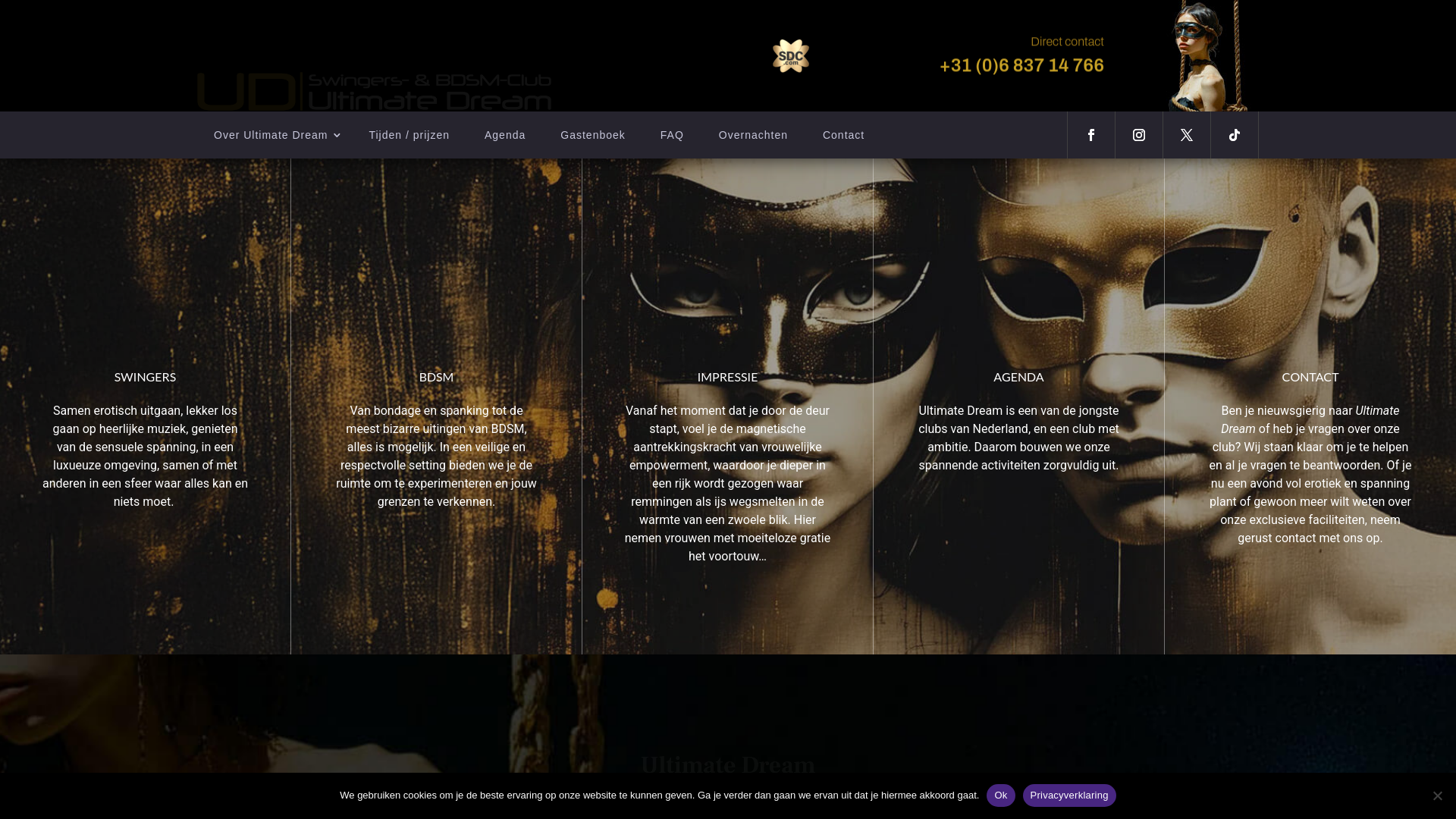 website screenshot of https://www.ultimate-dream.nl/