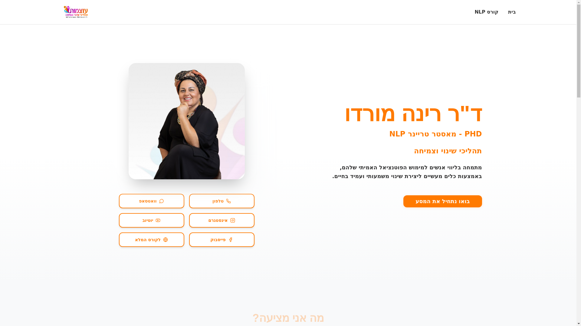 website screenshot of https://rinanlp.com/