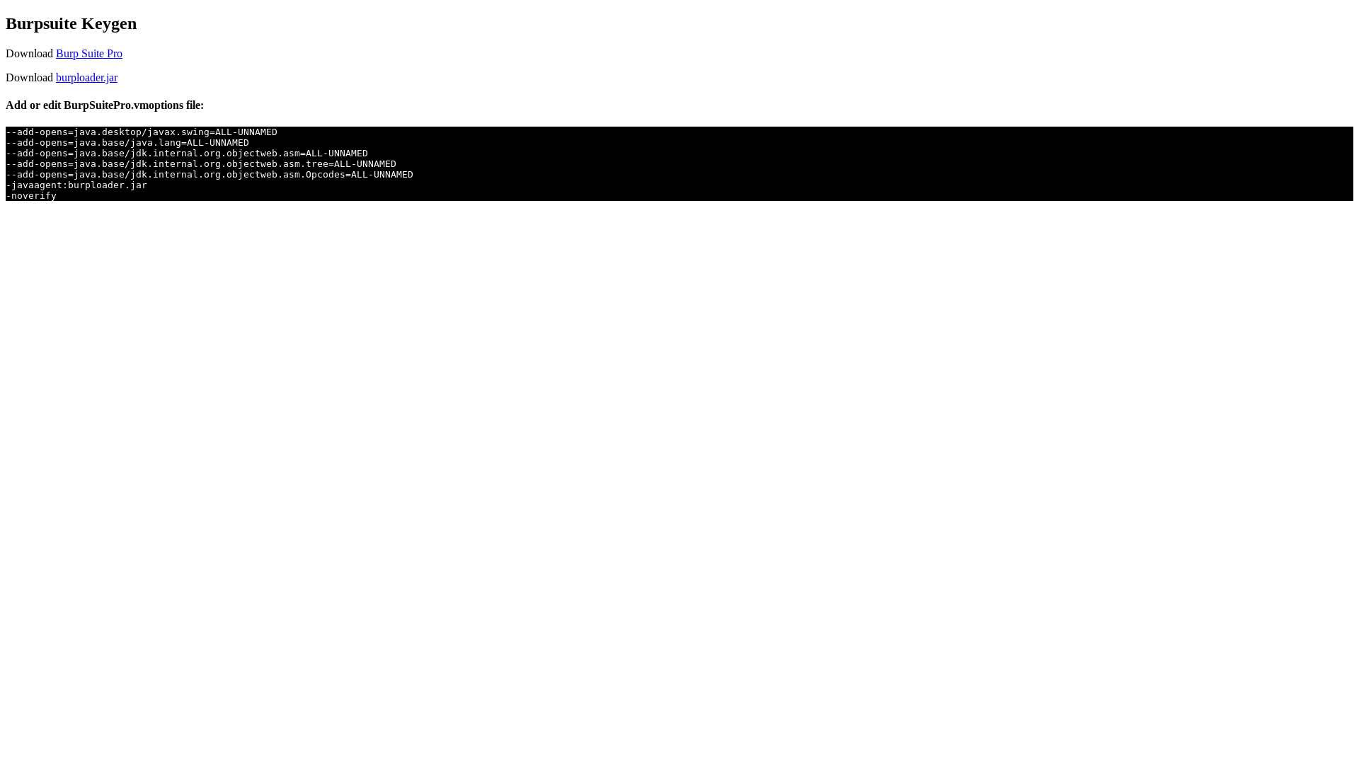 website screenshot of https://burpsuite.pages.dev/