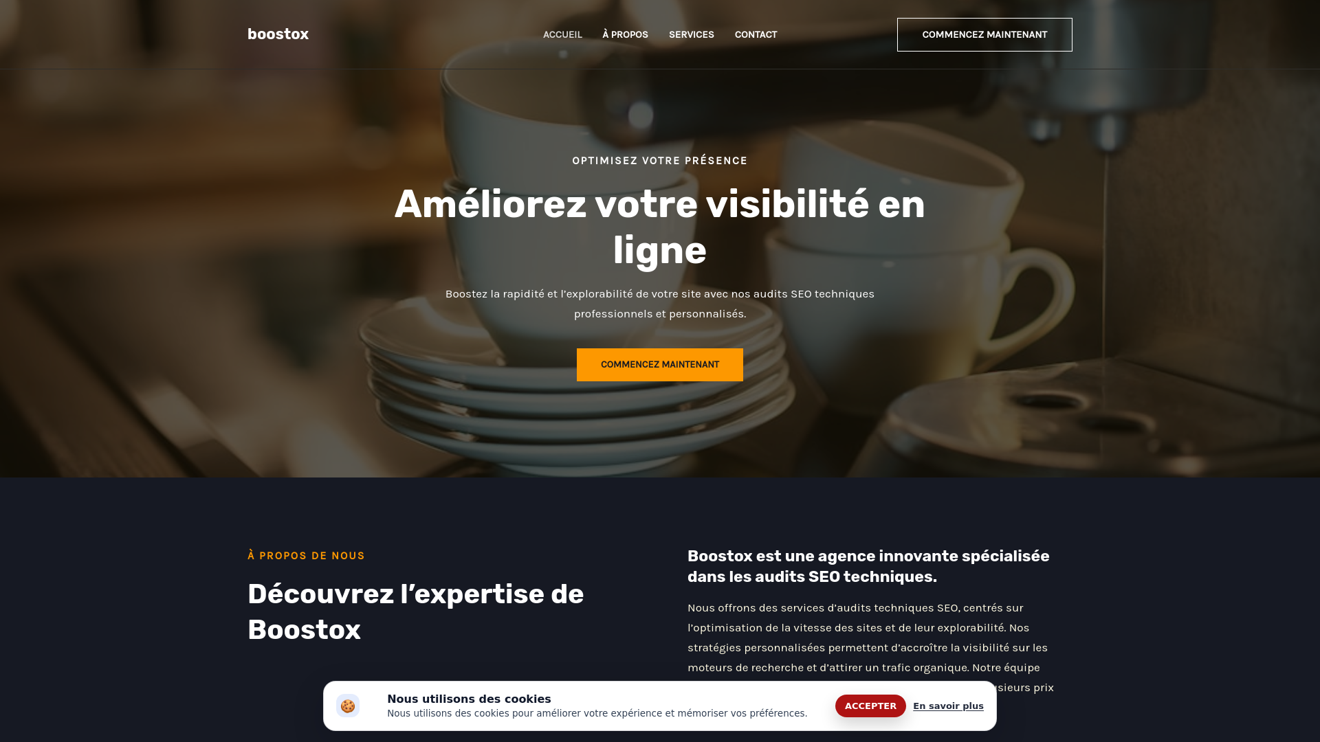 website screenshot of https://boostox.company