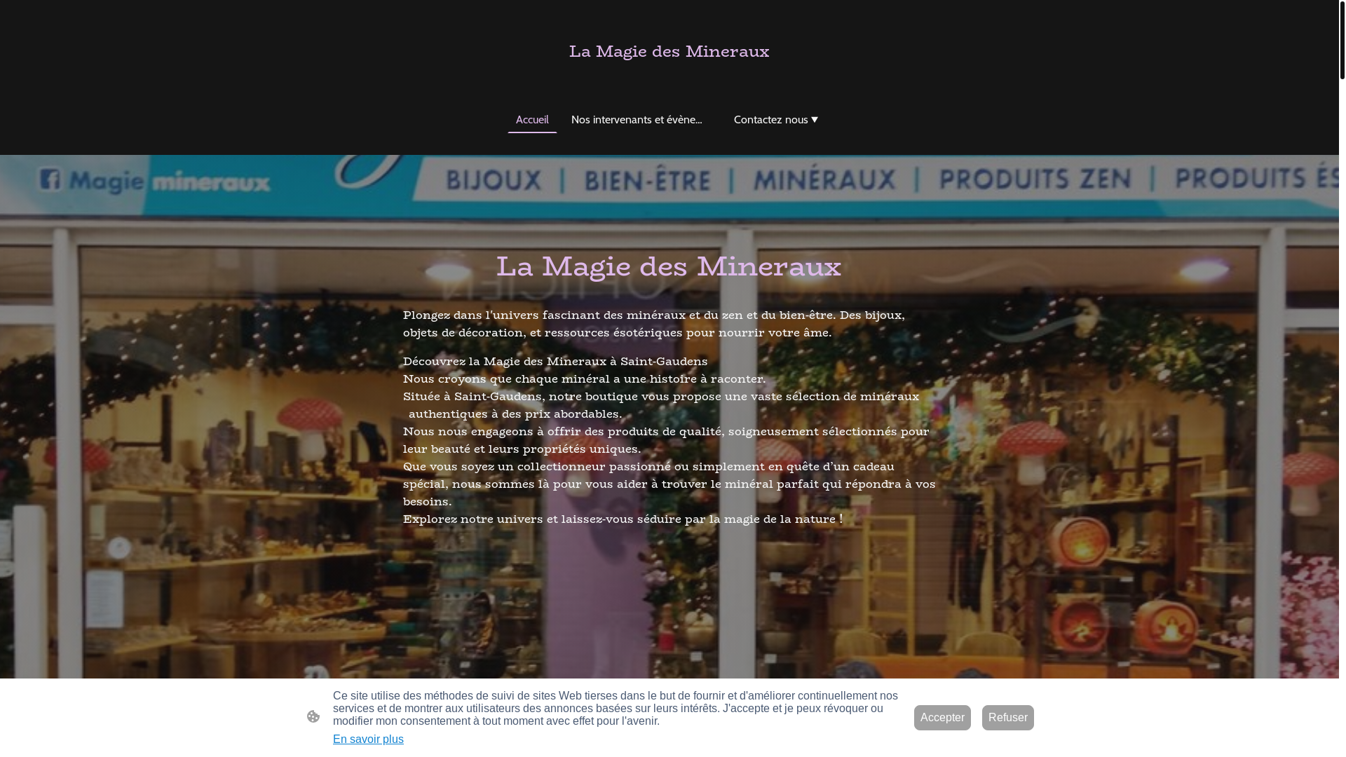 website screenshot of https://lamagiedesmineraux.online/