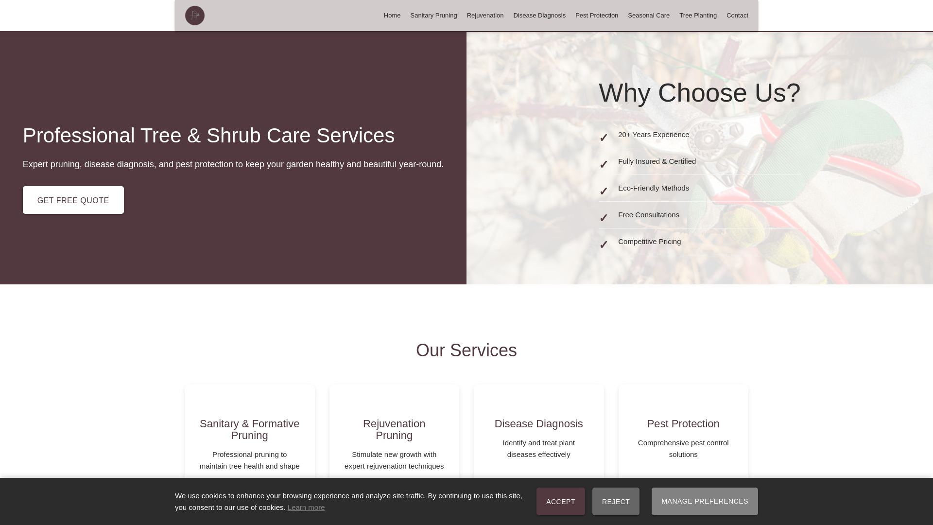 website screenshot of https://zelmaronsluzarin.world/