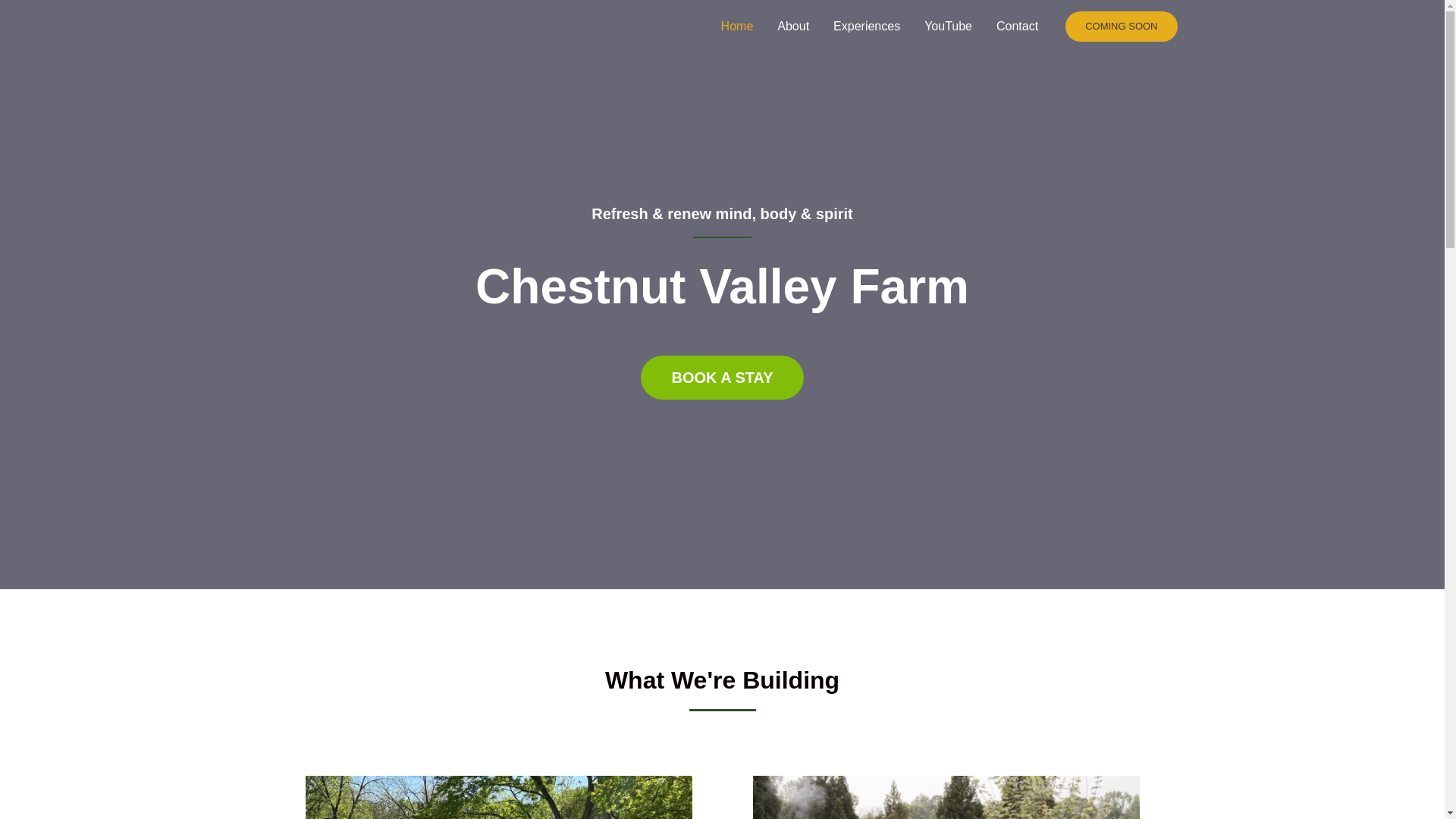 website screenshot of https://chestnutvalley.farm/