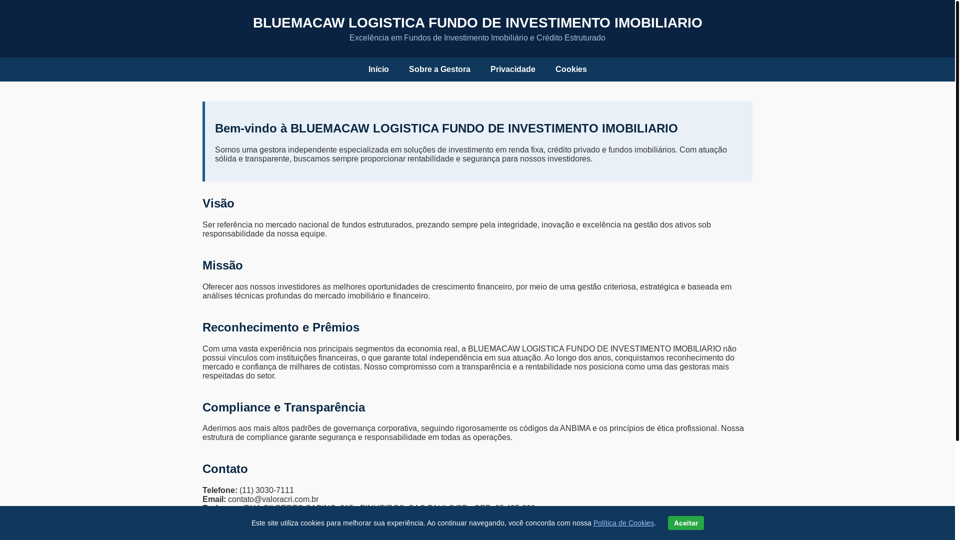 website screenshot of https://bluemacawlogistica.fun/