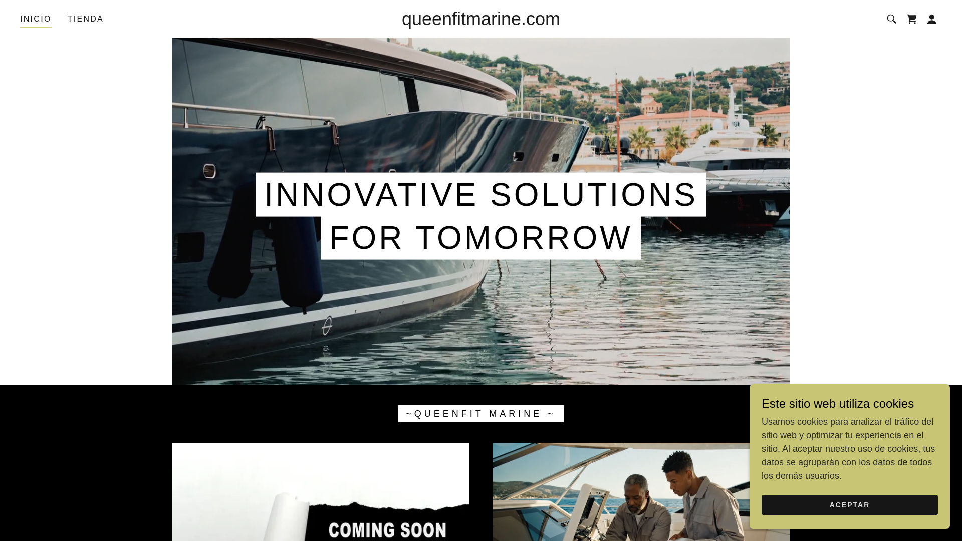 website screenshot of https://queenfitmarine.com/