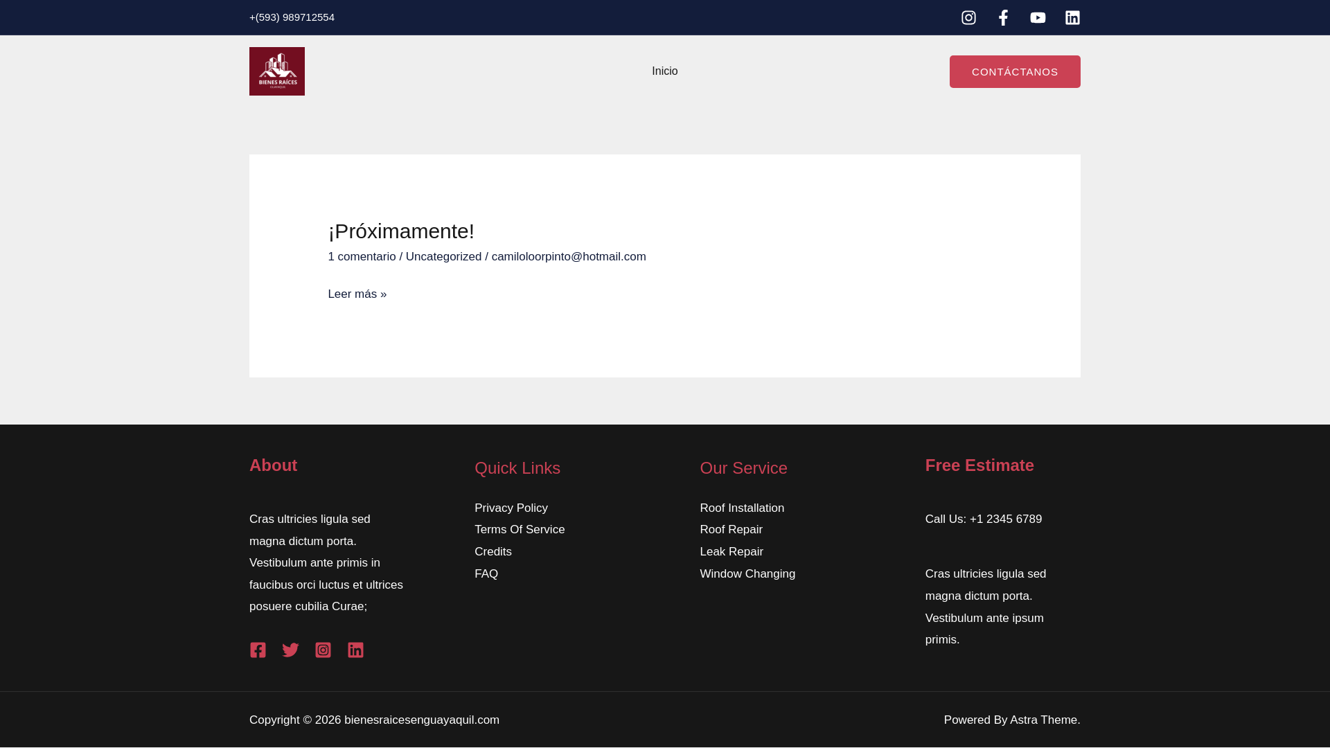 website screenshot of https://bienesraicesenguayaquil.com/