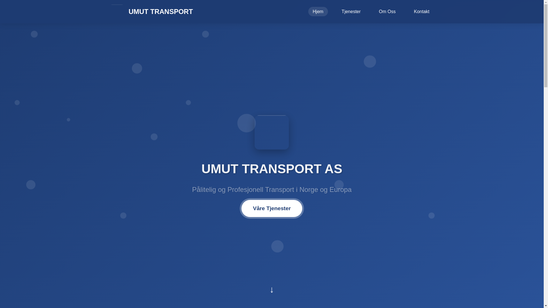 website screenshot of https://umuttransportas.no/