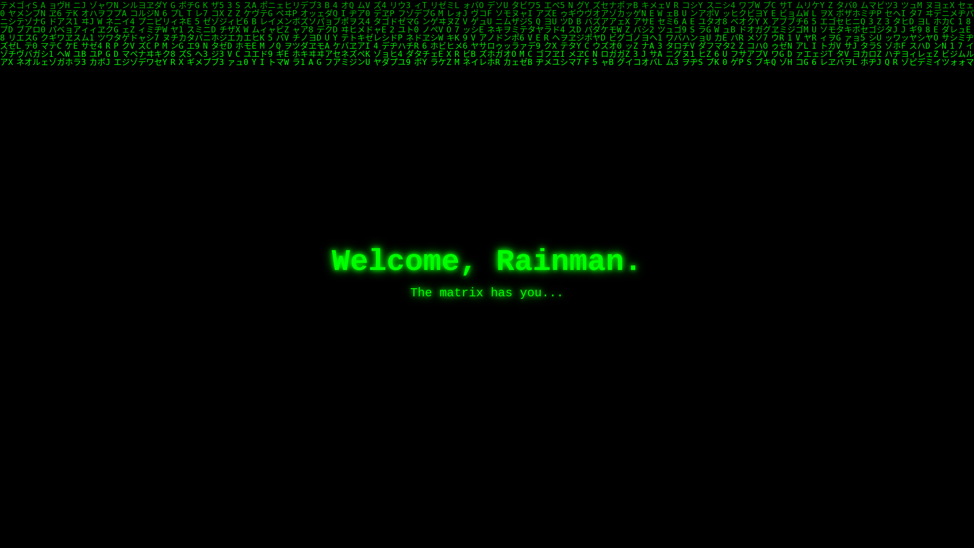 website screenshot of https://matrix-rainman.pages.dev/