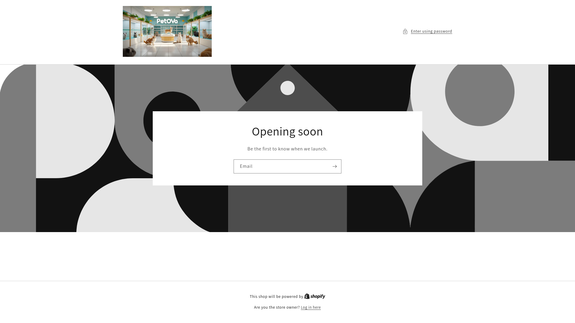 website screenshot of https://petovapetshop.com/