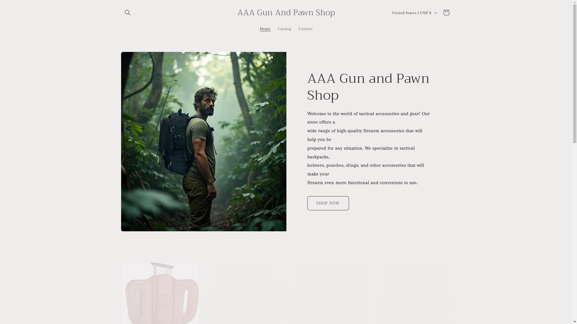 website screenshot of https://aaagunandpawnshop.com/