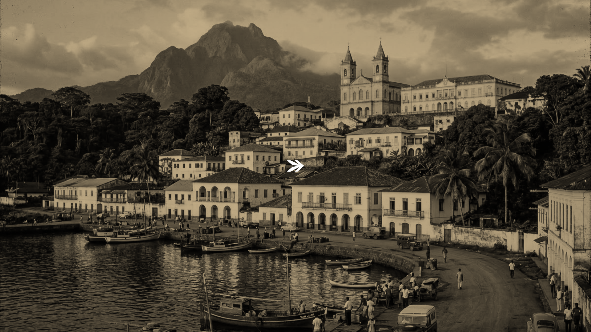 website screenshot of https://fastforwardmalabo.com/