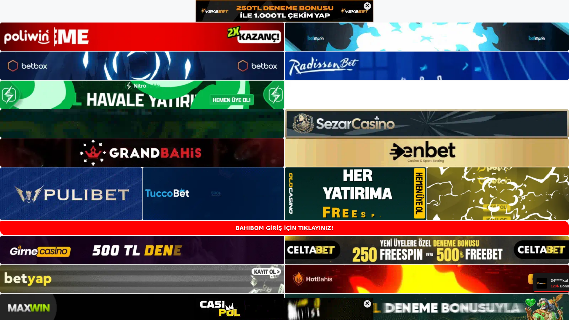 website screenshot of https://bahibomgirisi.com/