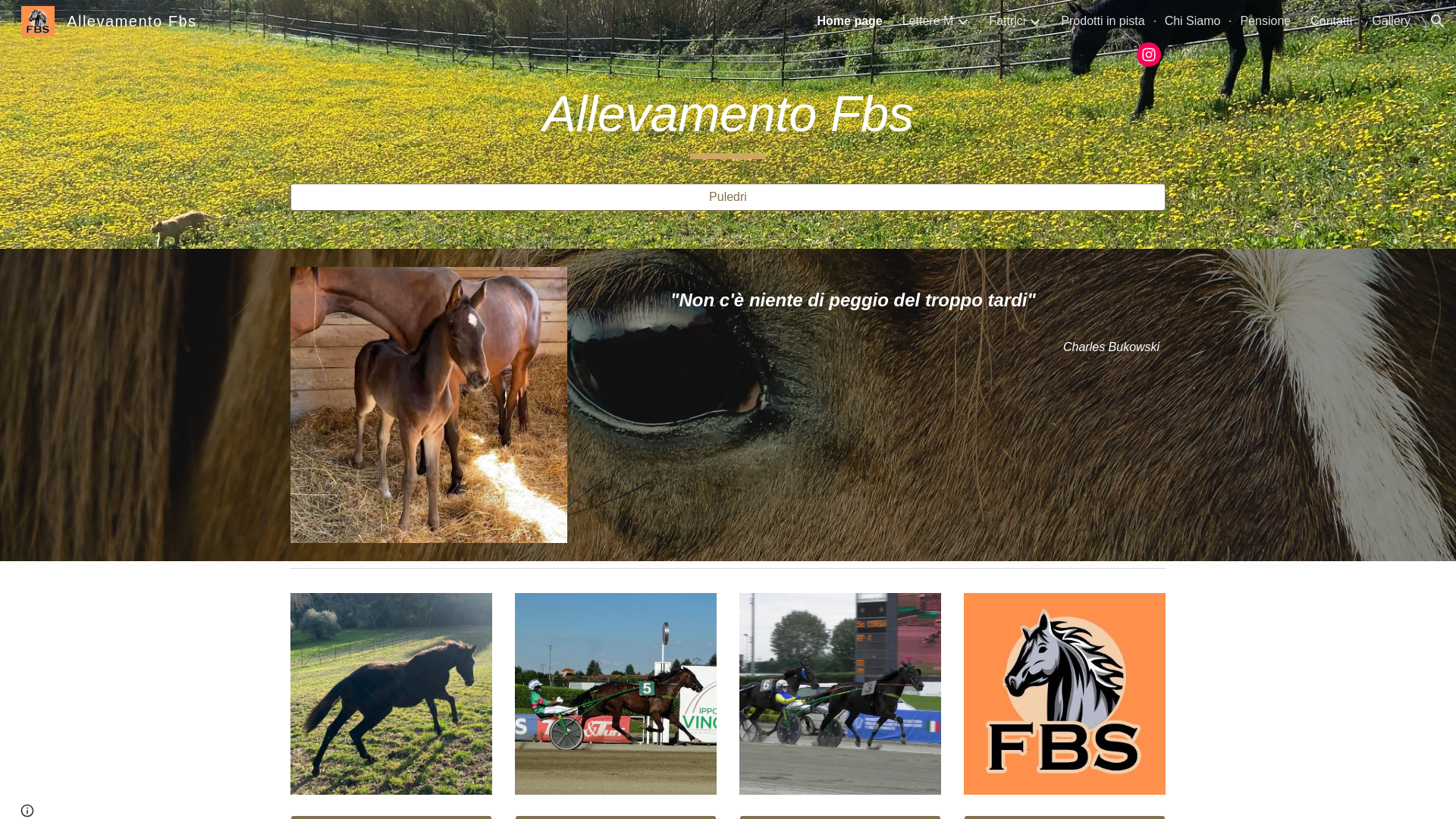 website screenshot of https://allevamentofbs.com/