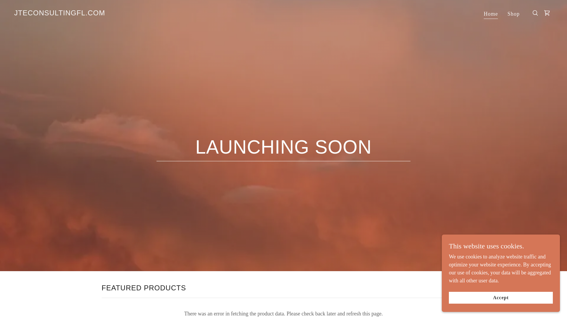 website screenshot of https://jteconsultingfl.com/