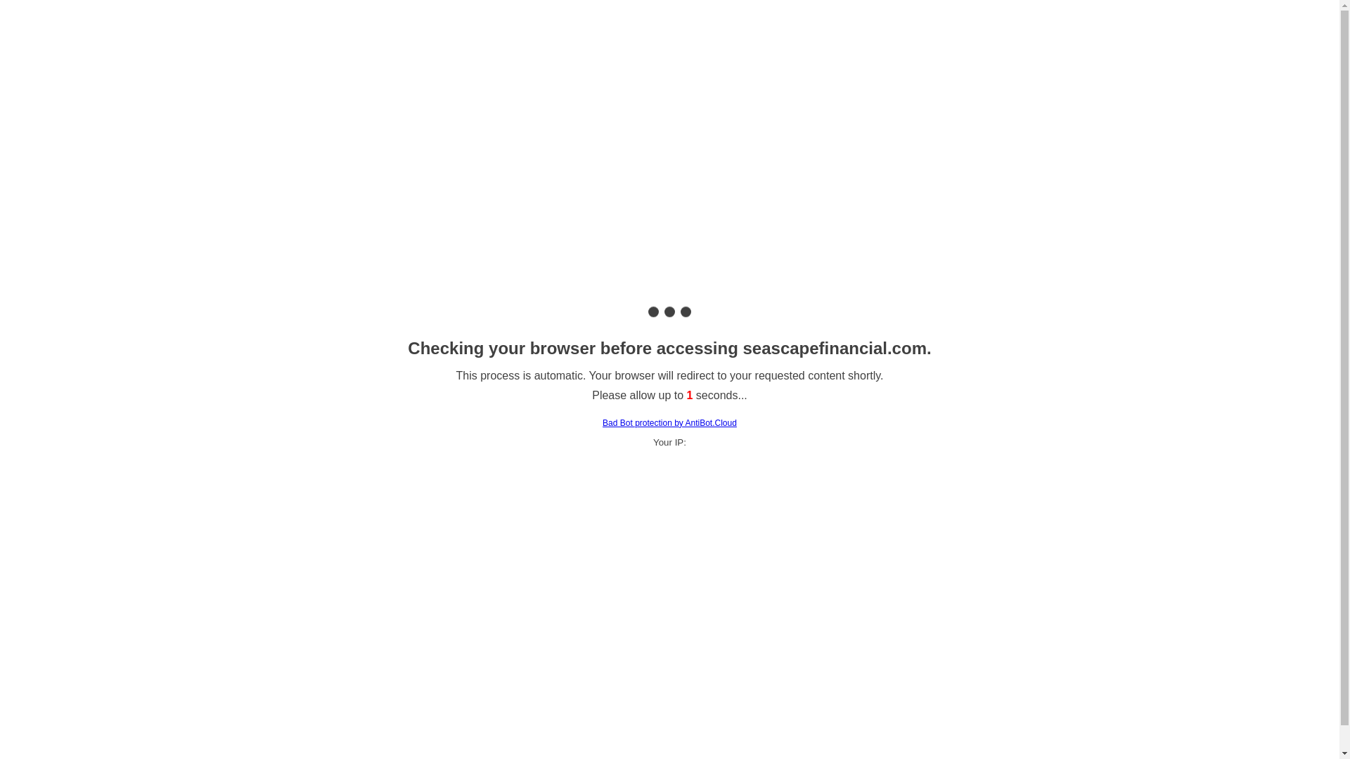 website screenshot of https://seascapefinancial.net/