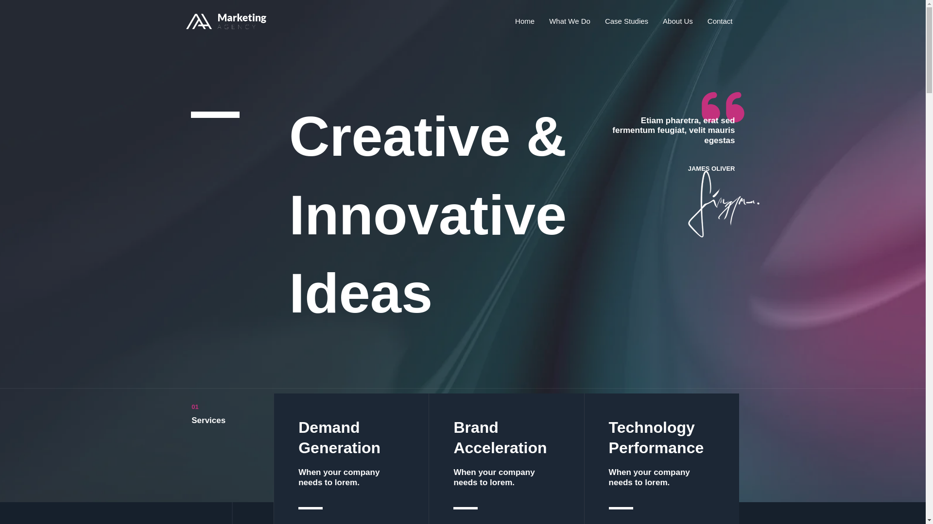 website screenshot of https://haiderdigitalbiz.com/