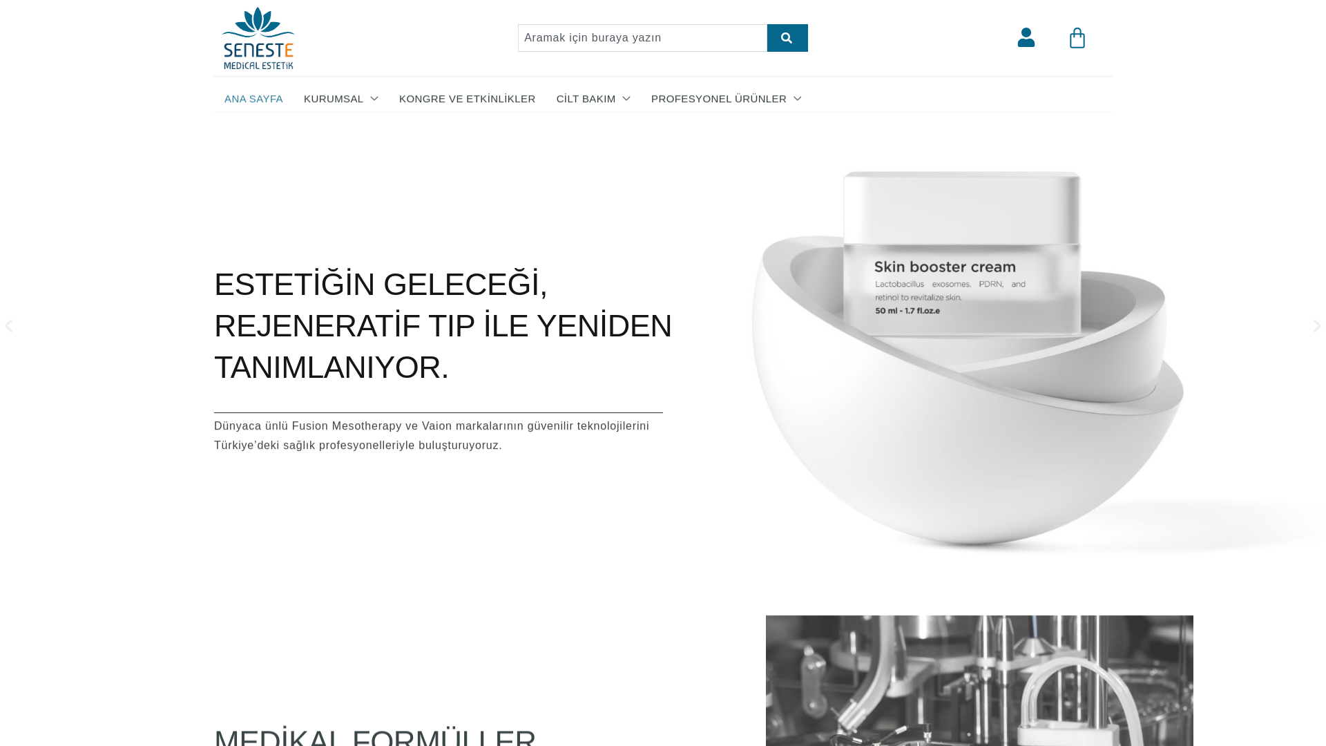 website screenshot of https://seneste.com.tr