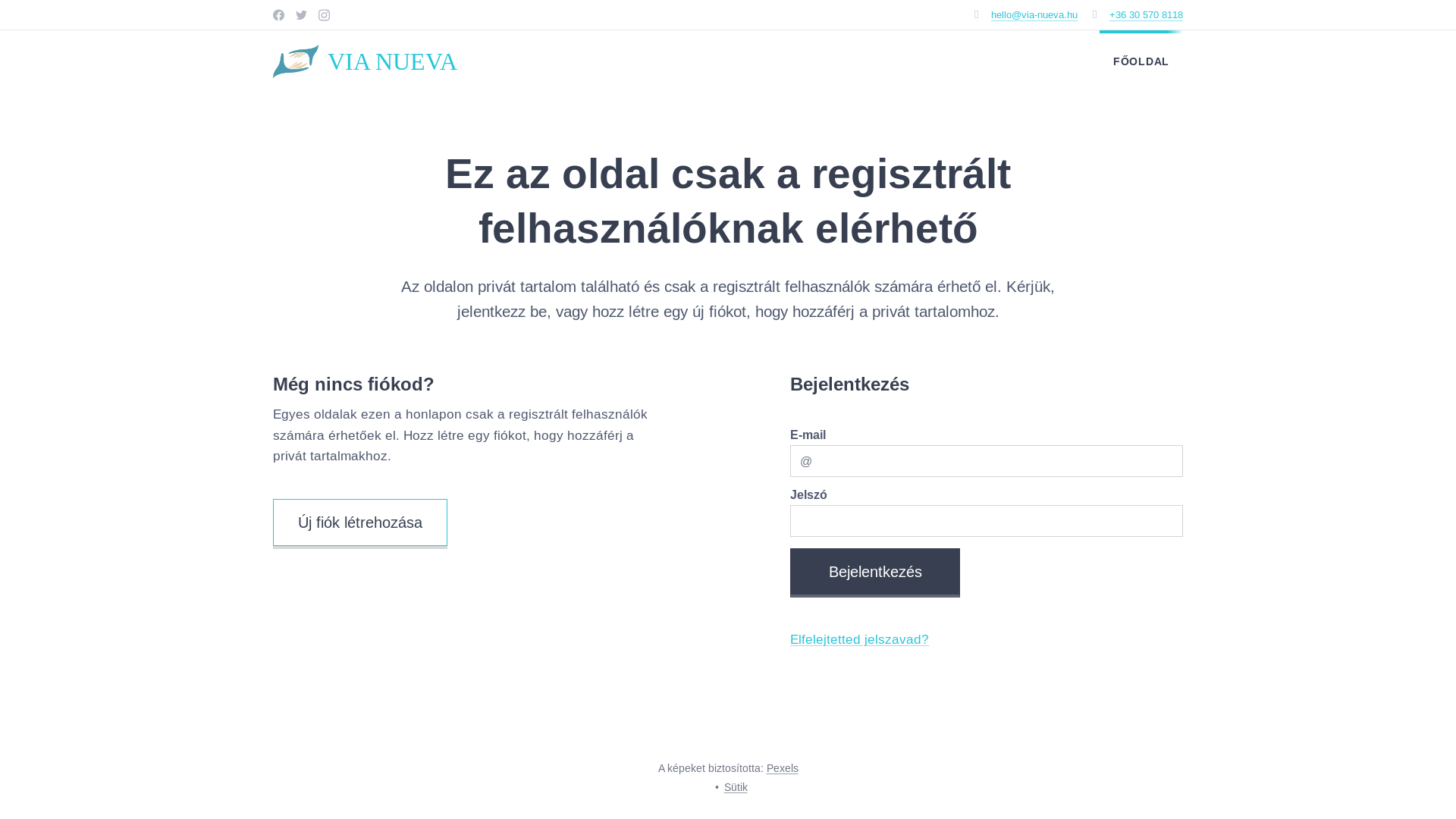 website screenshot of https://via-nueva.hu/