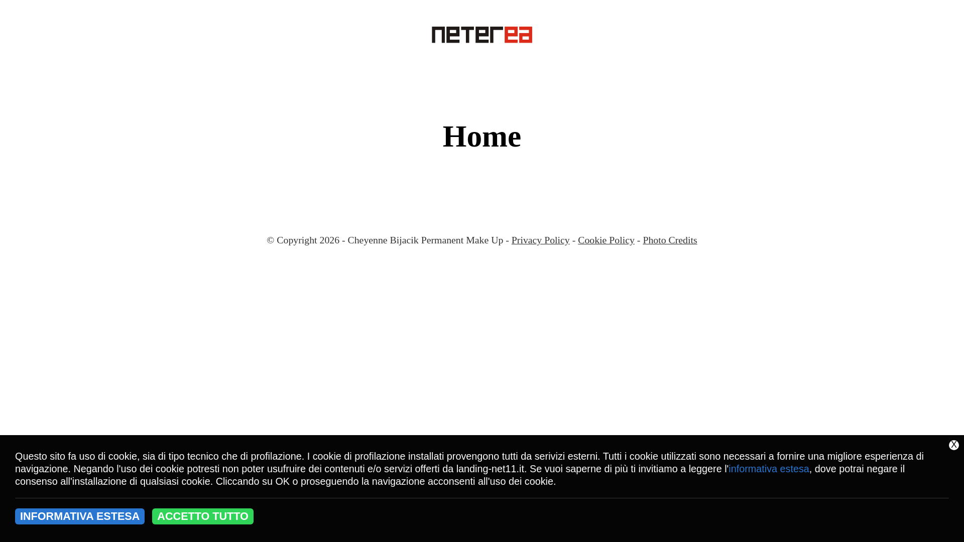 website screenshot of https://landing-net11.it/