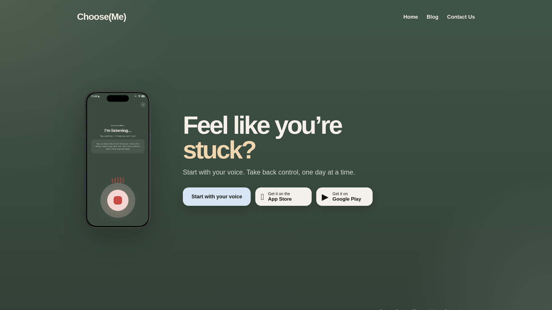 website screenshot of https://chooseme-site.pages.dev/