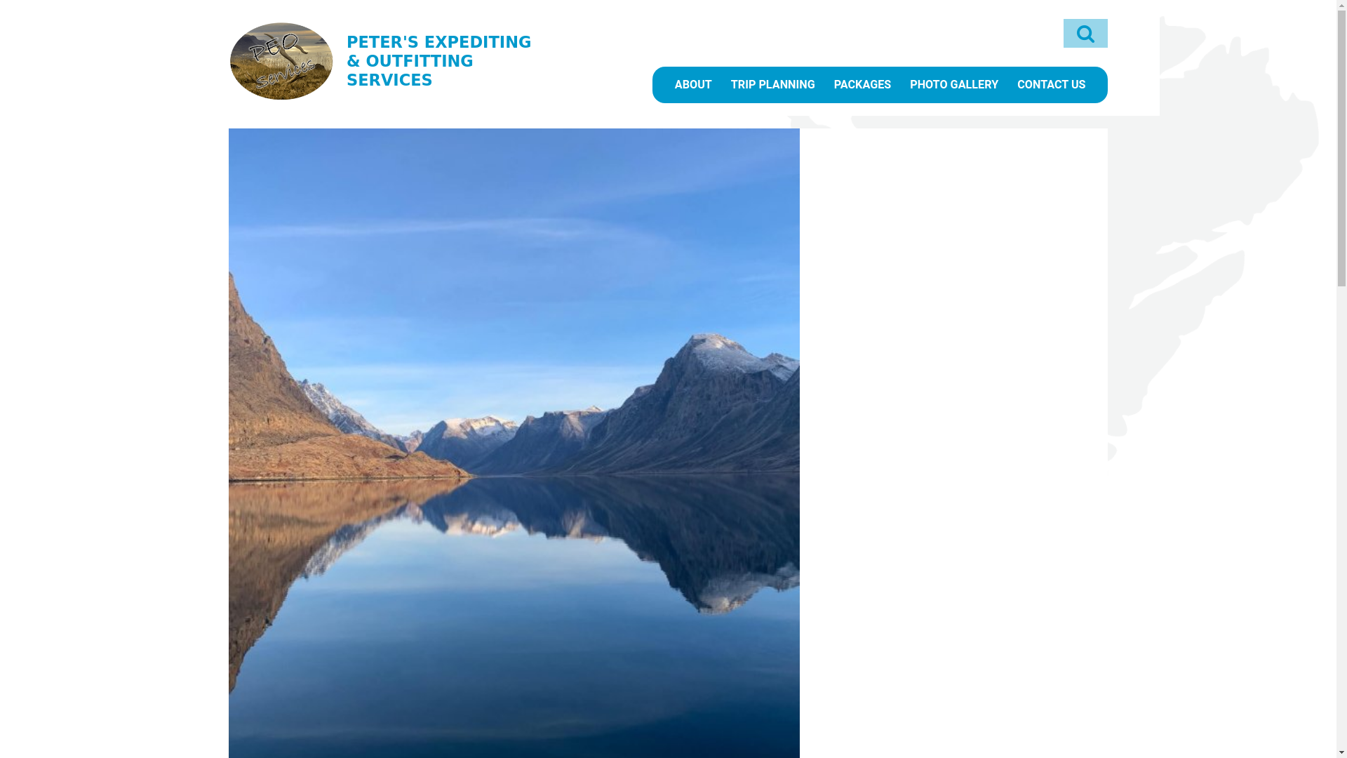 website screenshot of https://kilabukservices.ca/