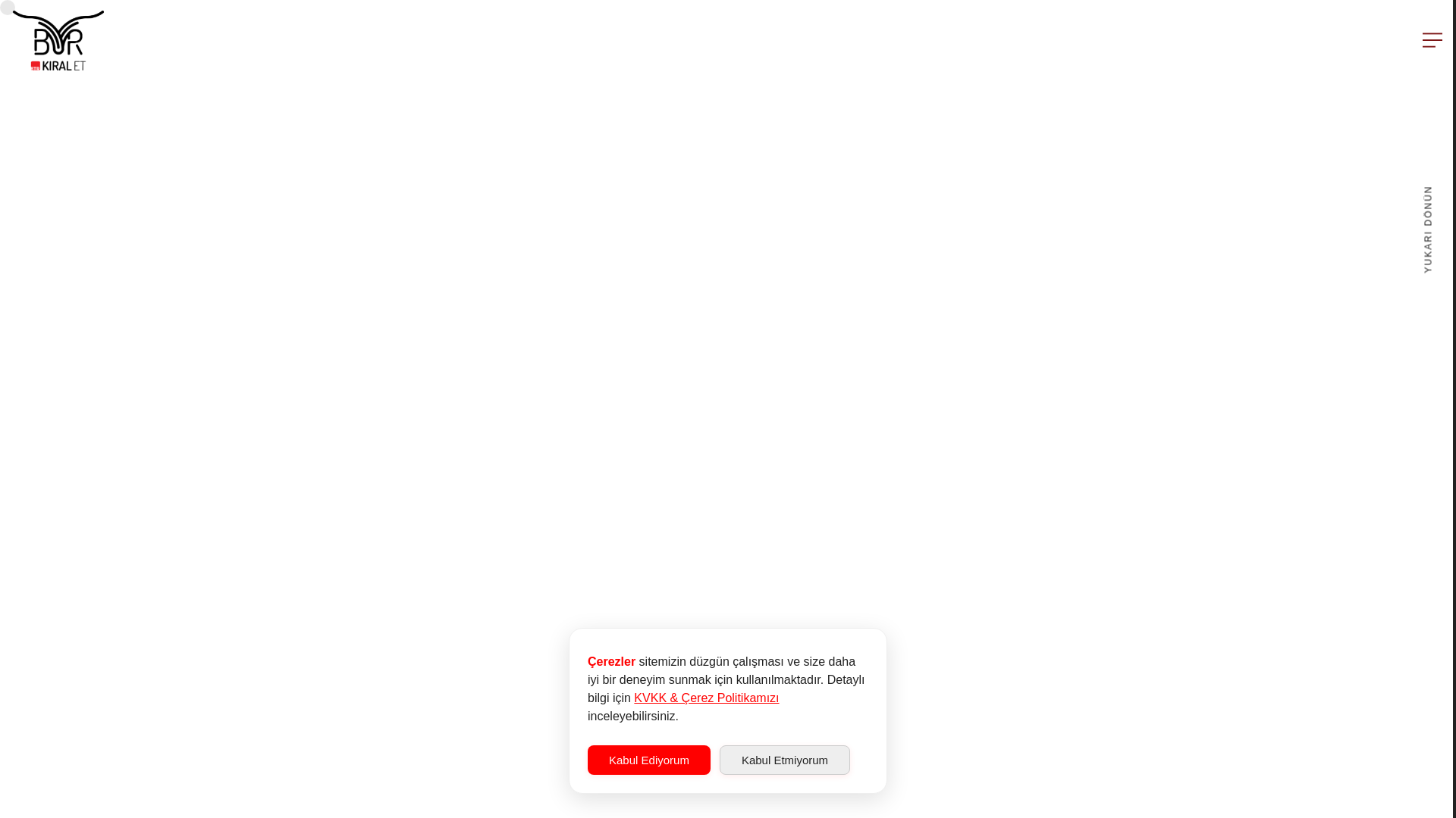 website screenshot of https://btrkiralet-3sm.pages.dev/