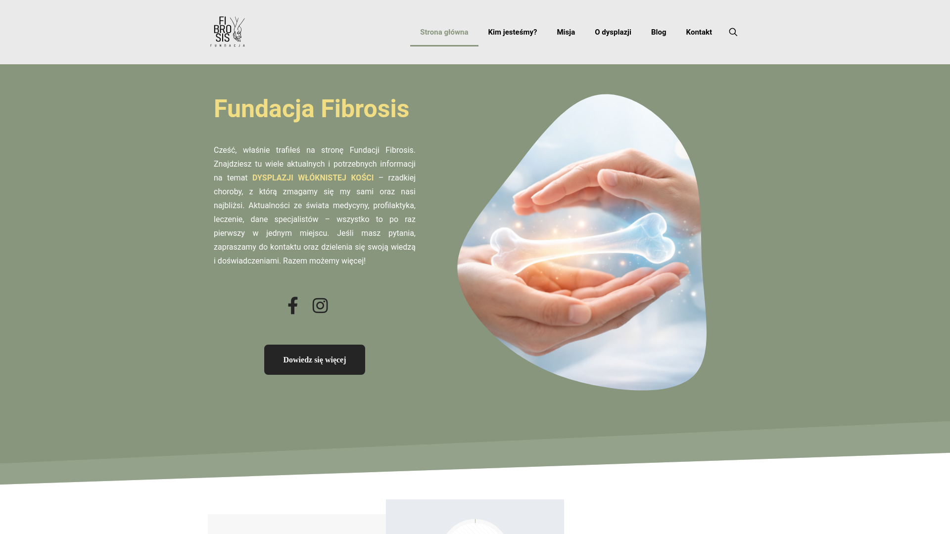website screenshot of https://fibrosis.org.pl/