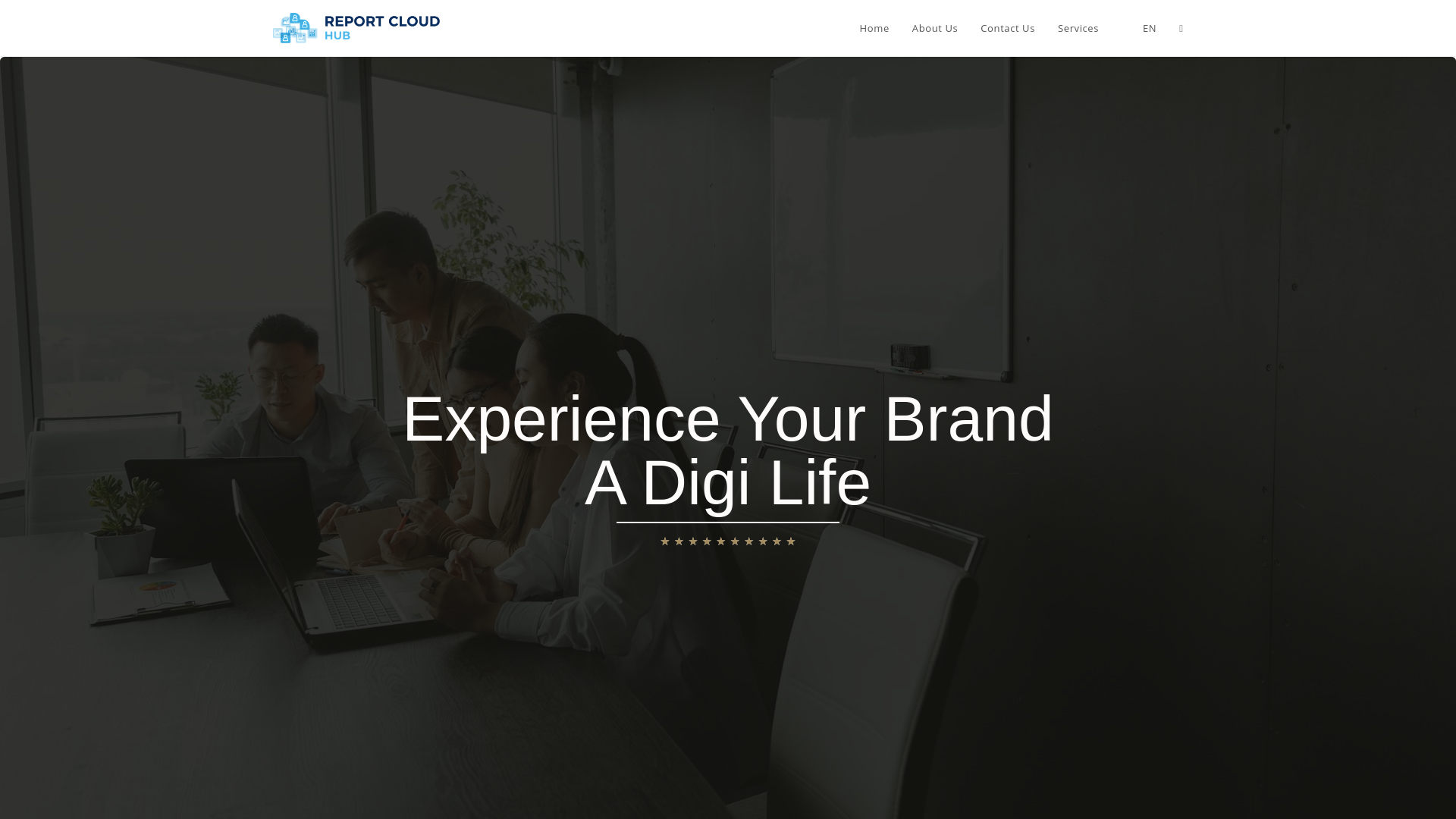 website screenshot of https://reportcloudhub.com/