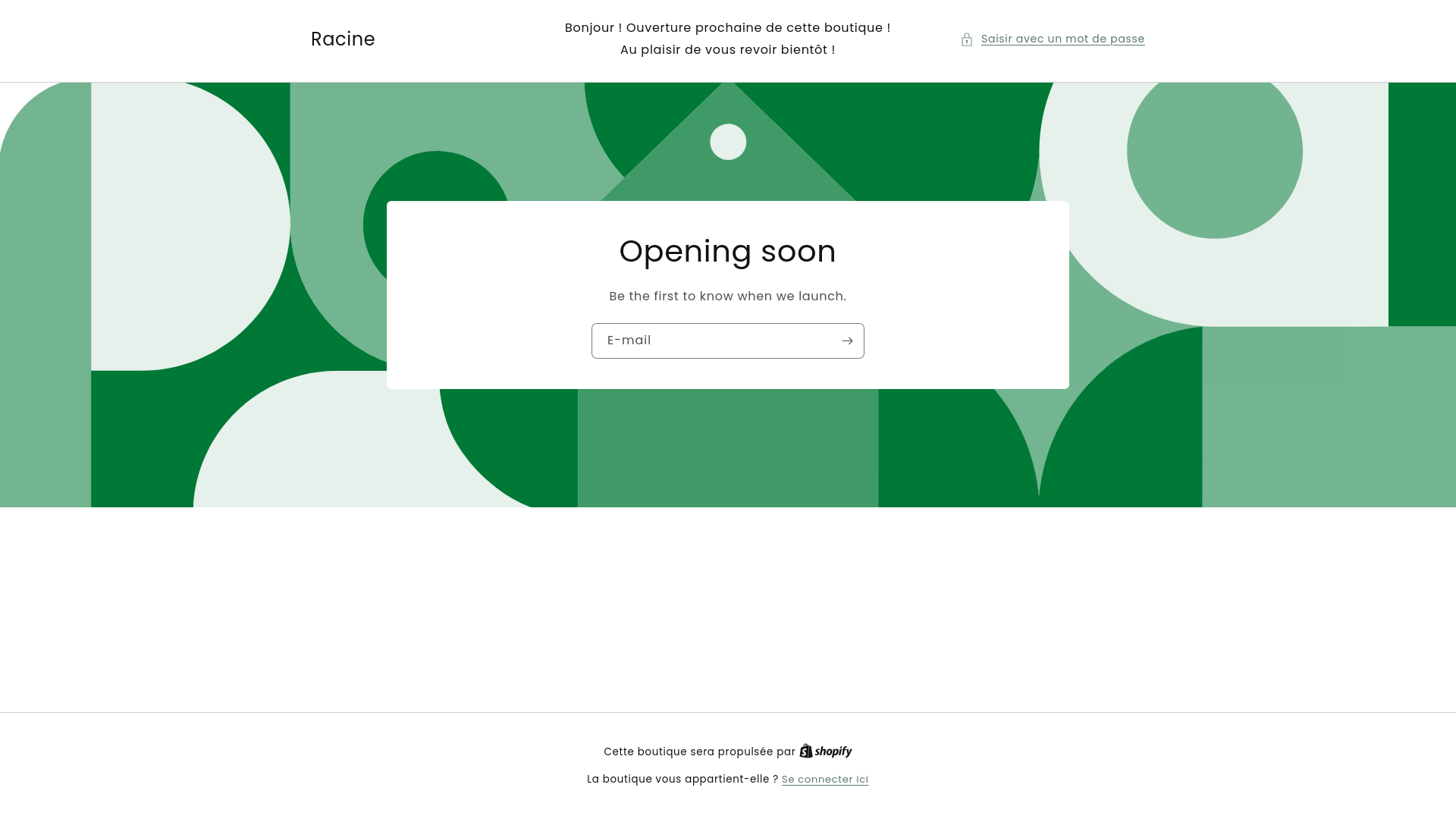 website screenshot of https://racine-store.shop/