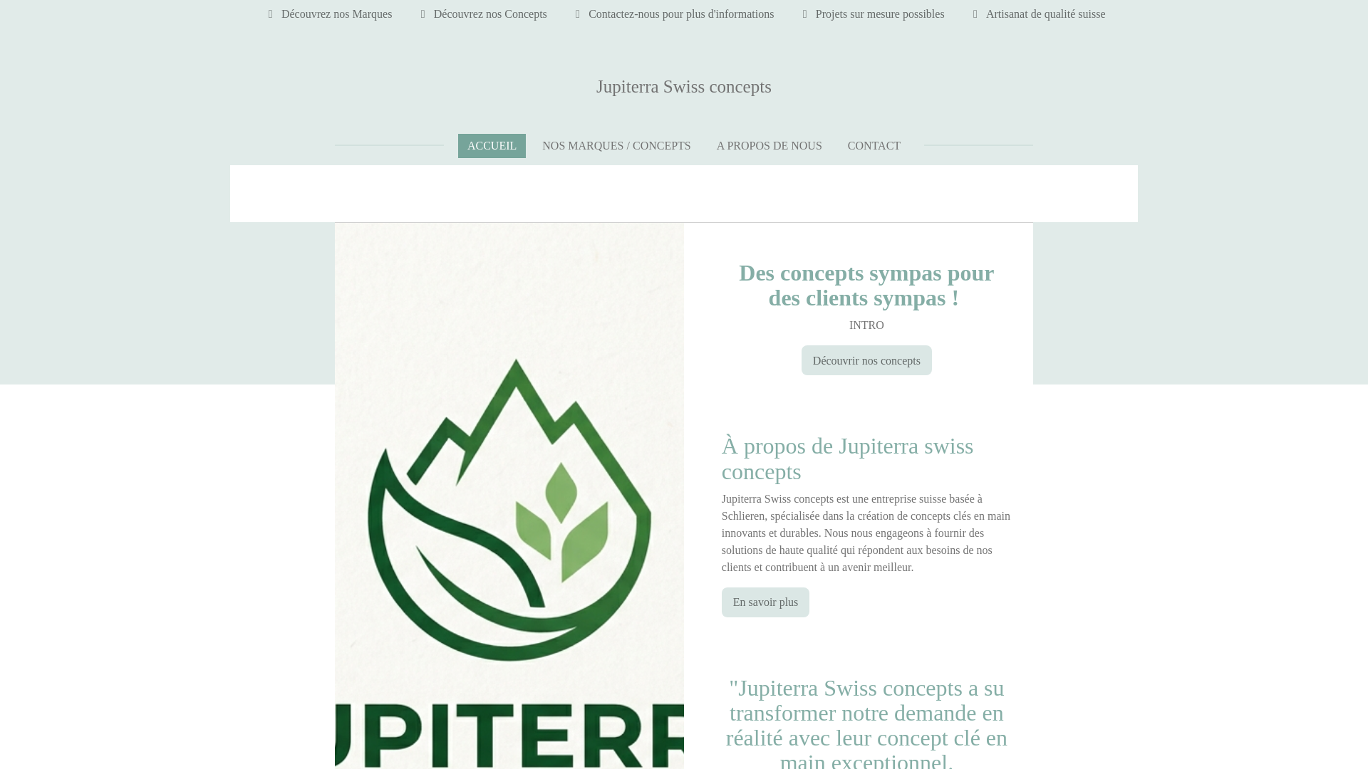 website screenshot of https://jupiterra-sc.ch/