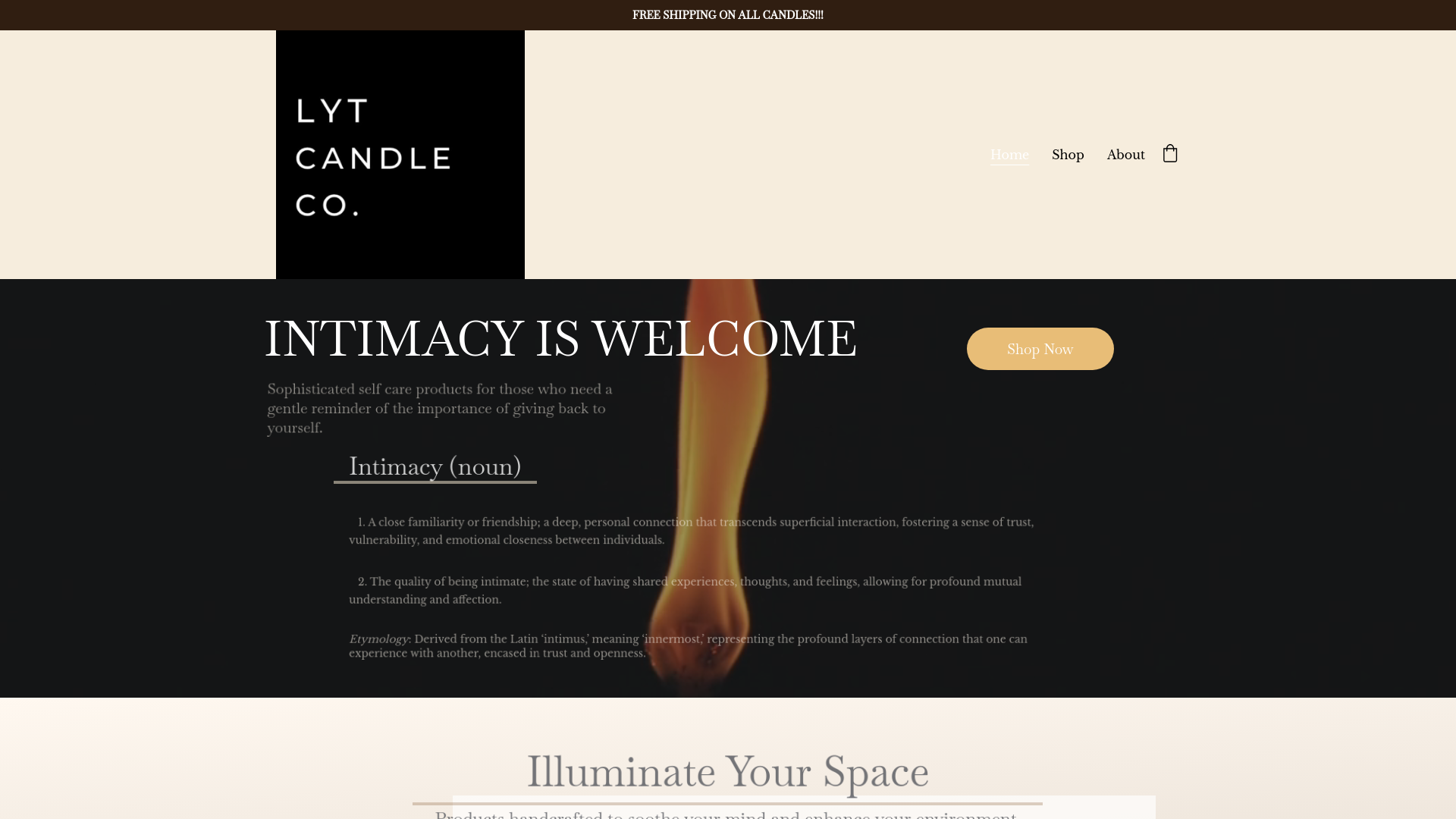 website screenshot of https://lytcandleco.store/