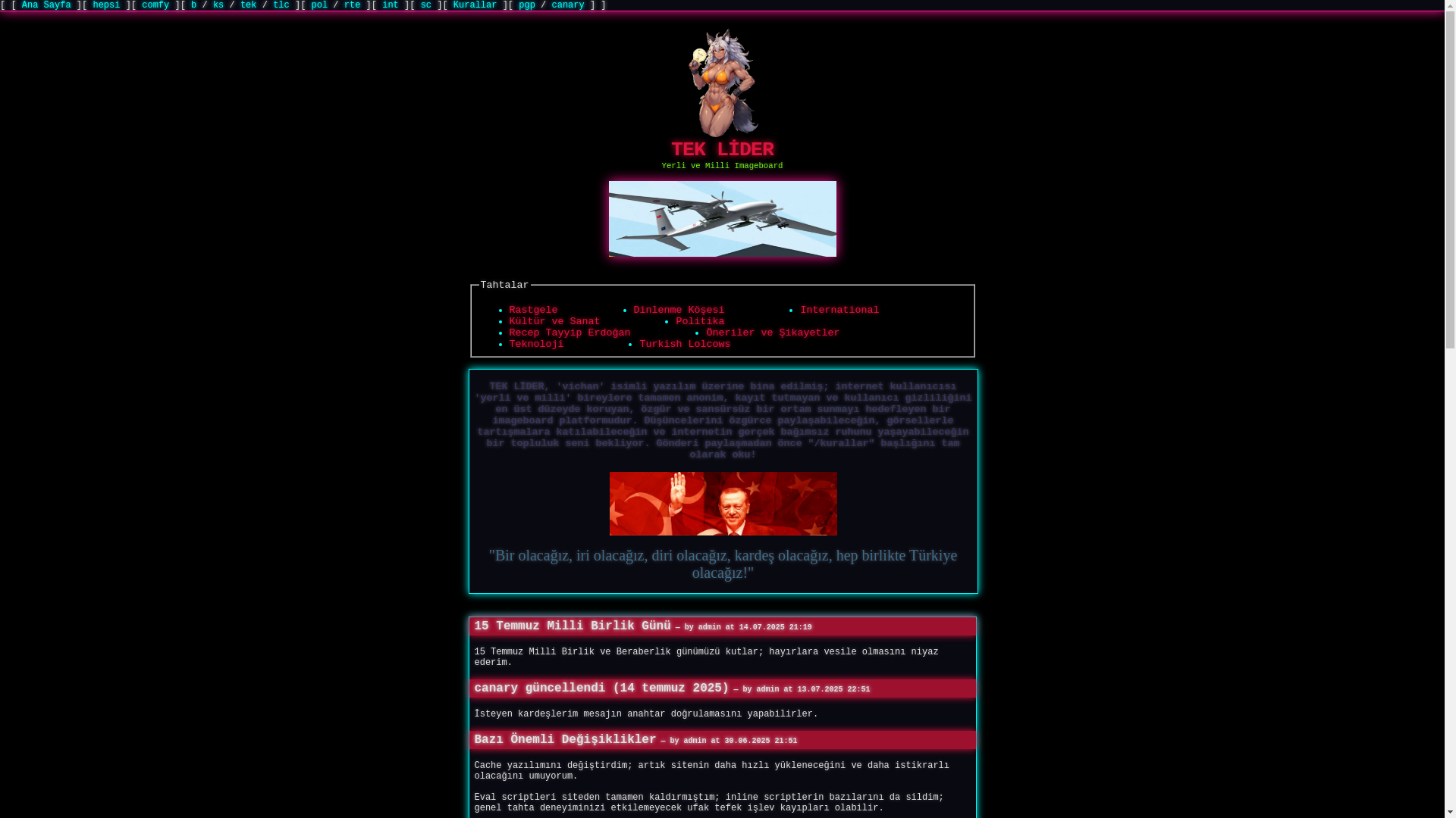 website screenshot of https://teklider.cc/