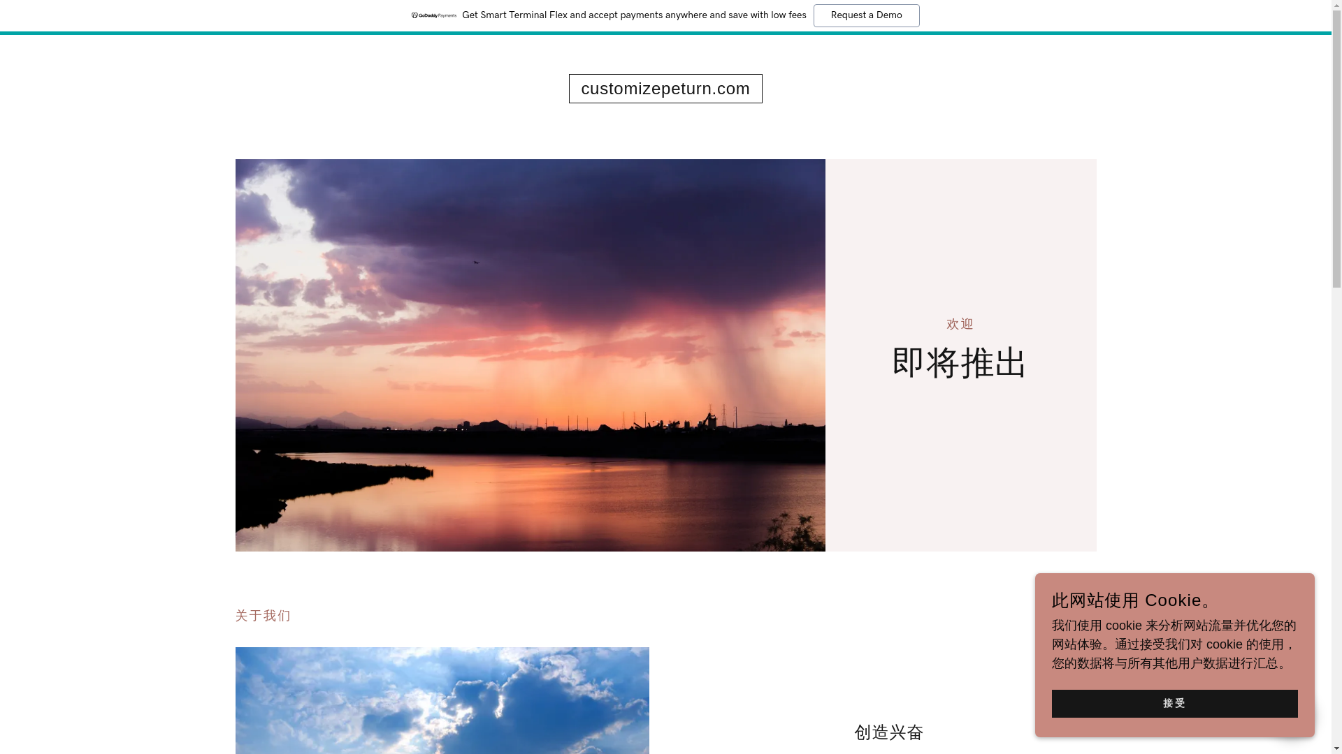 website screenshot of https://customizepeturn.com/