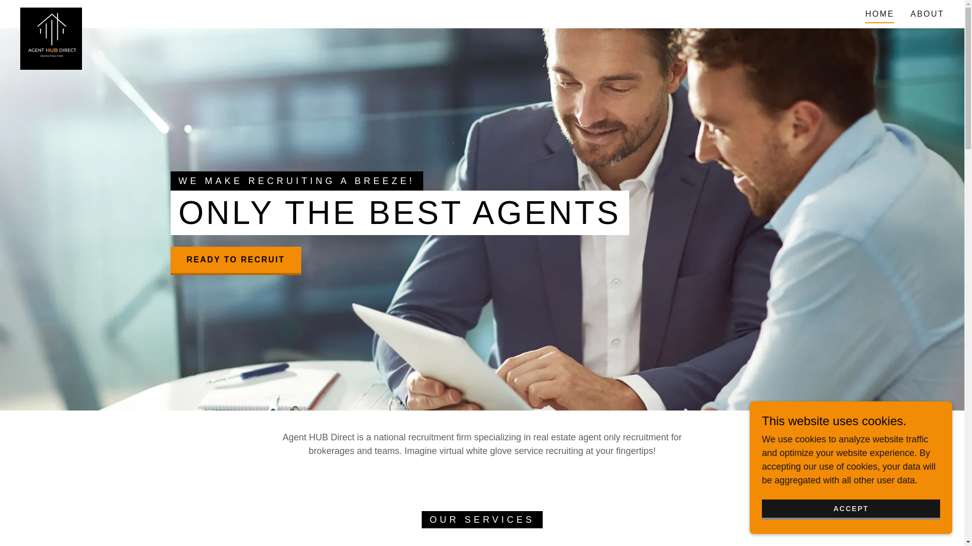 website screenshot of https://agenthubdirectnow.com/