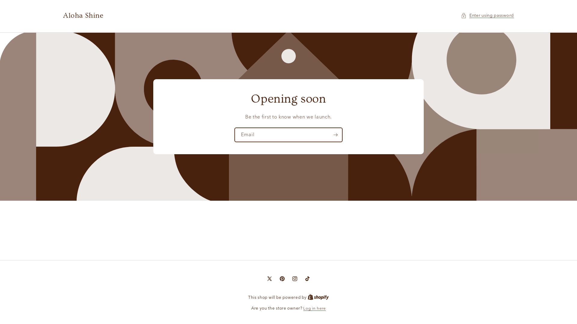 website screenshot of https://alohashine.shop/